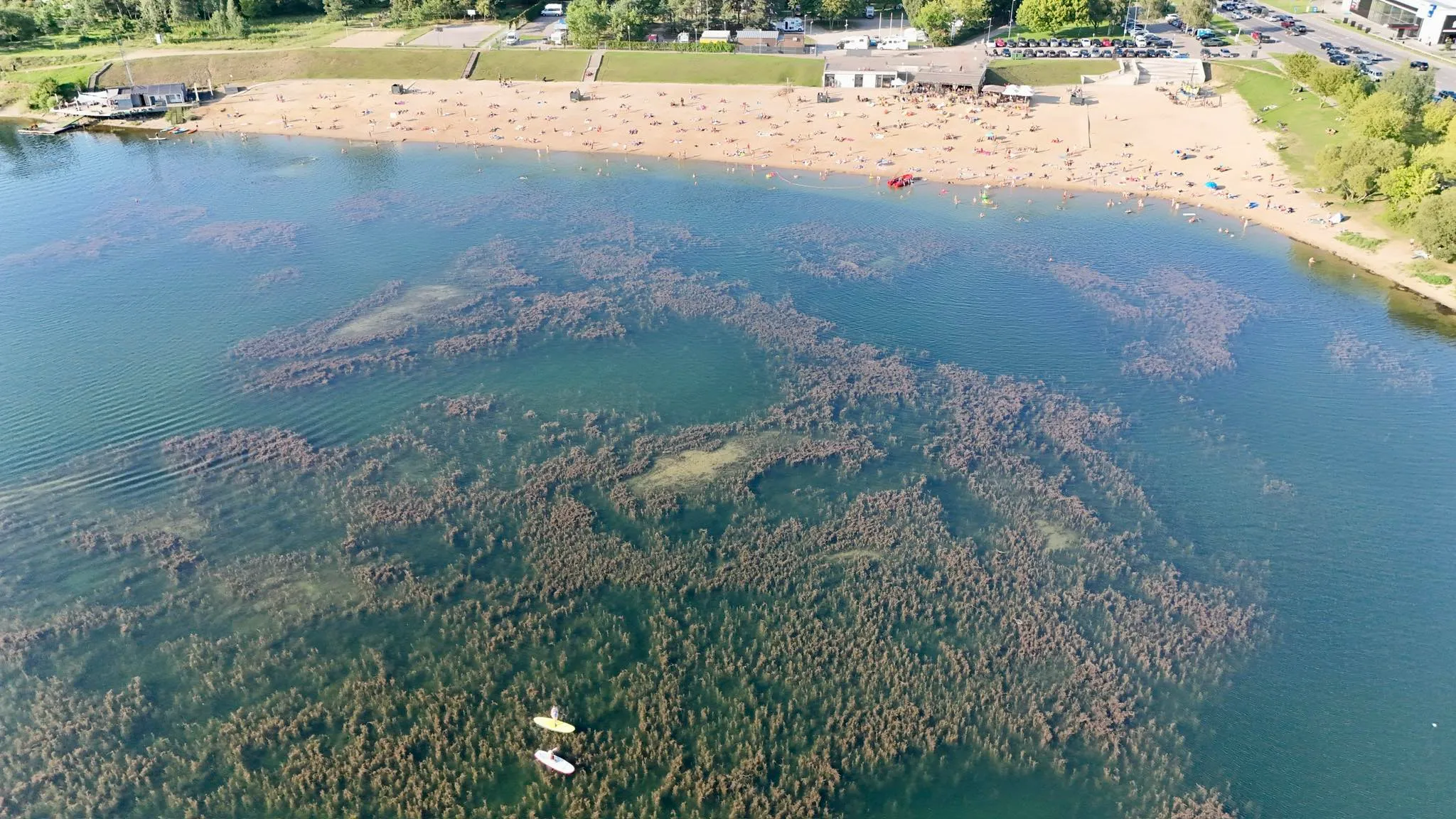 Lampėdžio ežero dumblas / Kas vyksta Kaune nuotr.
