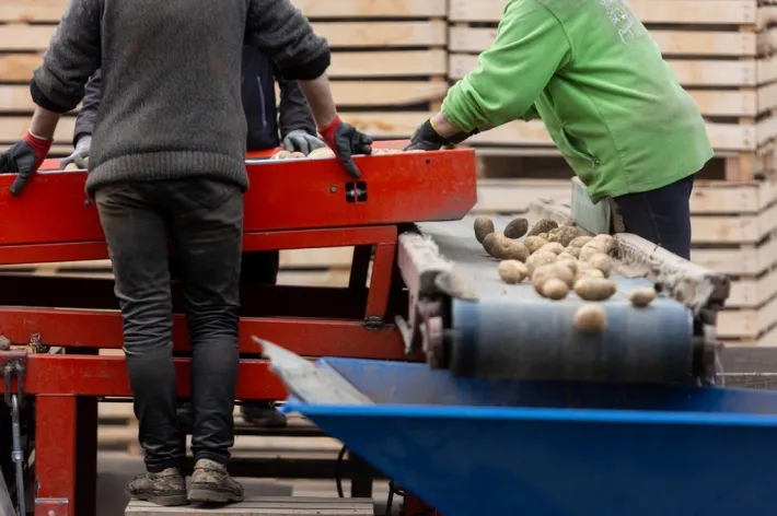 Gamyba, darbas, fabrikas