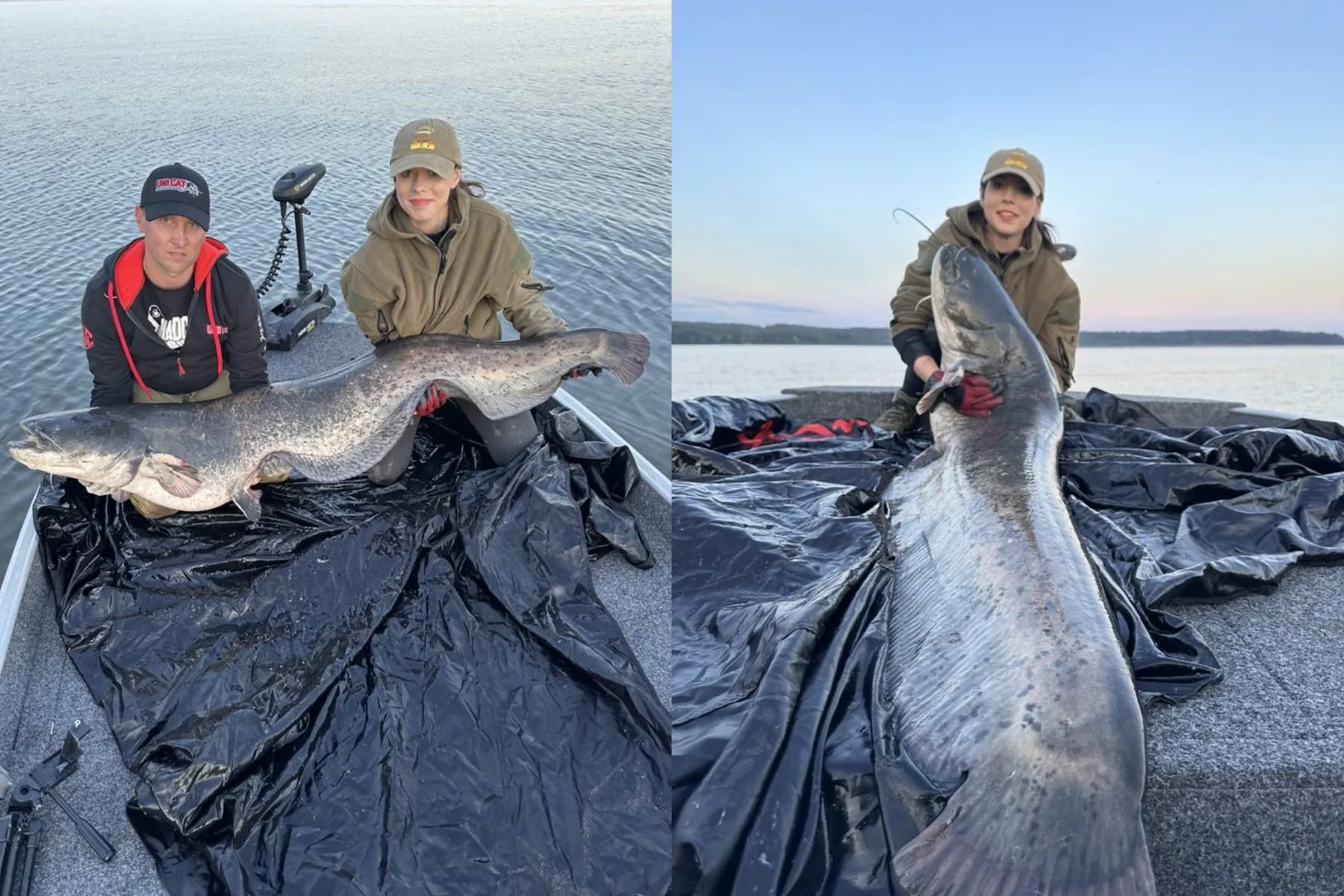 Kauno mariose pagautas įspūdingas šamas / J.  Lukoševičės nuotr.