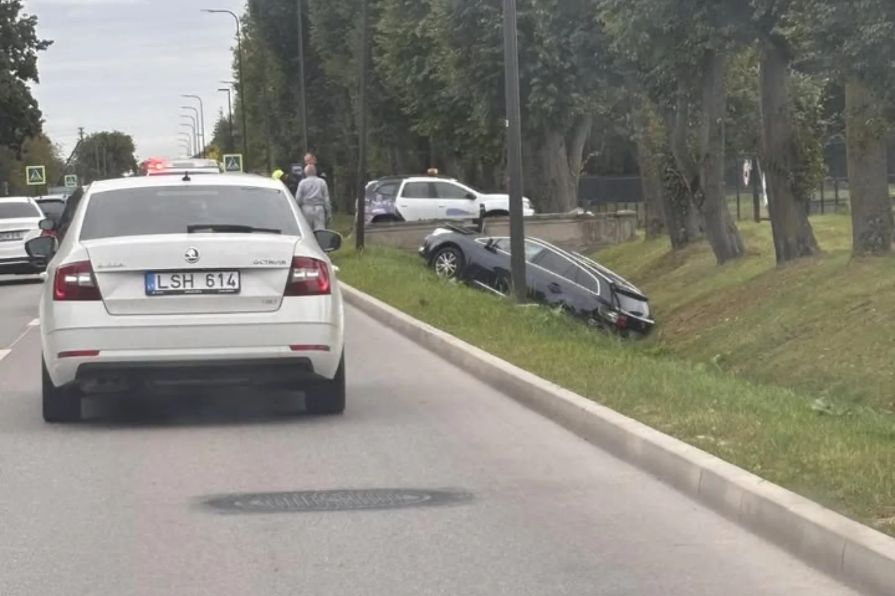 Aleksote nuo kelio nuvažiavęs automobilis / Skaitytojų nuotr.