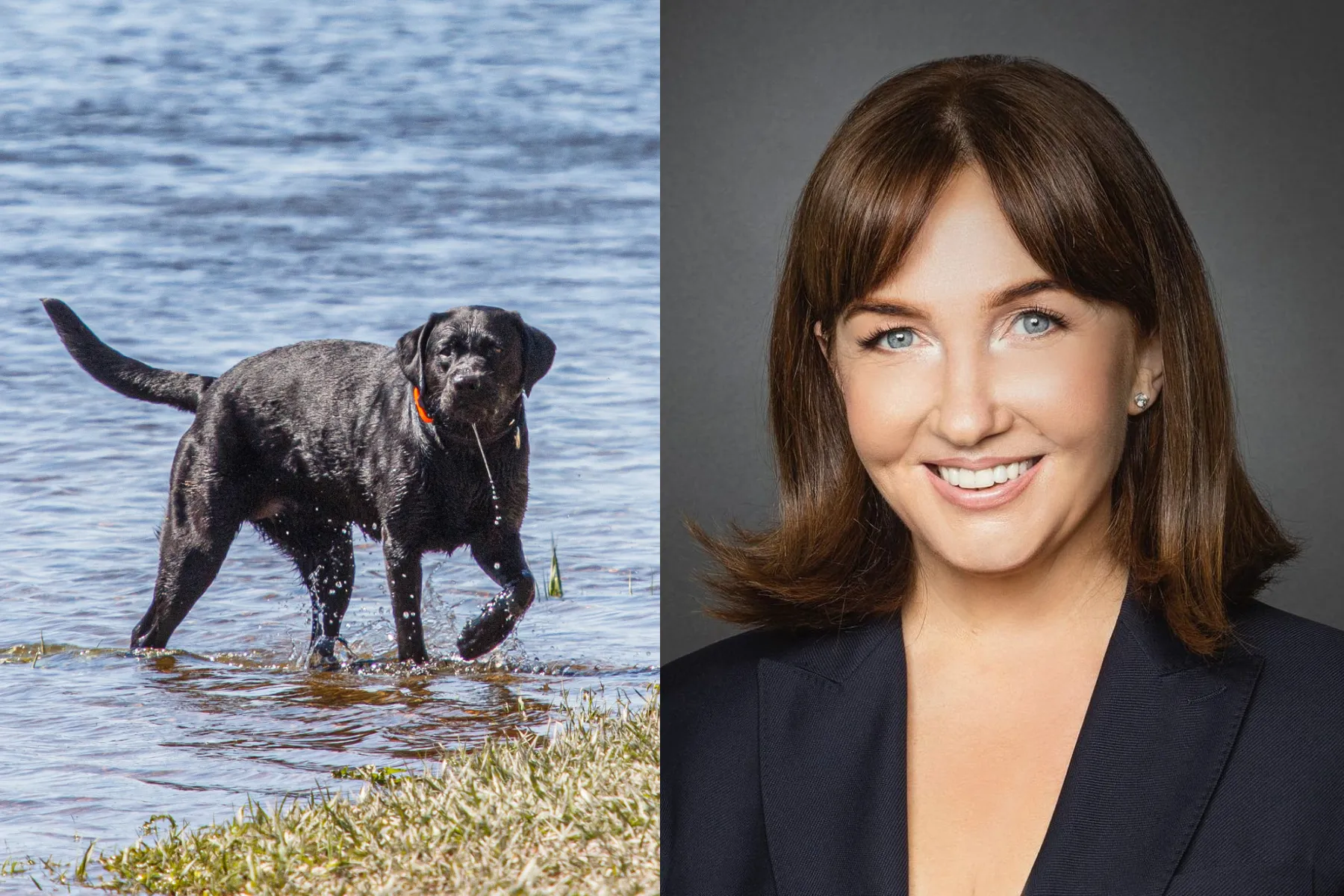 Asociatyvi / „ADVOCATERA“ / R. Tenio nuotr.