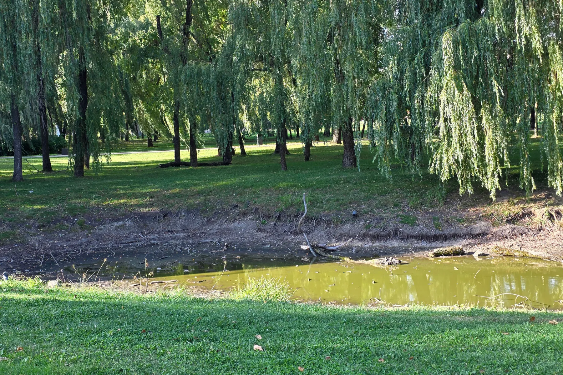 Draugystės parko tvenkinys / Skaitytojo nuotr.