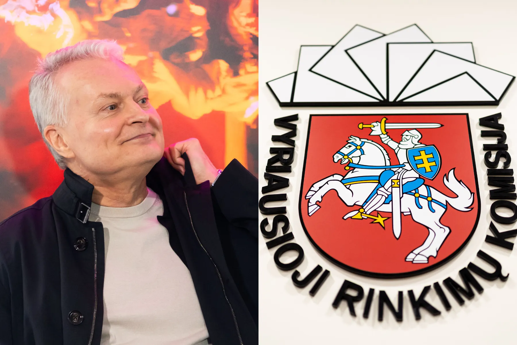 Gitanas Nausėda, Vyriausioji rinkimų komisija