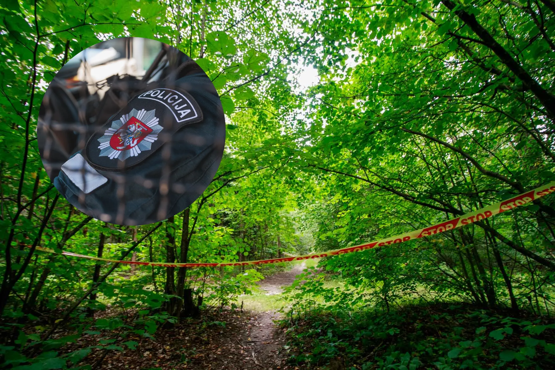 Asociatyvi / R. Tenio nuotr.