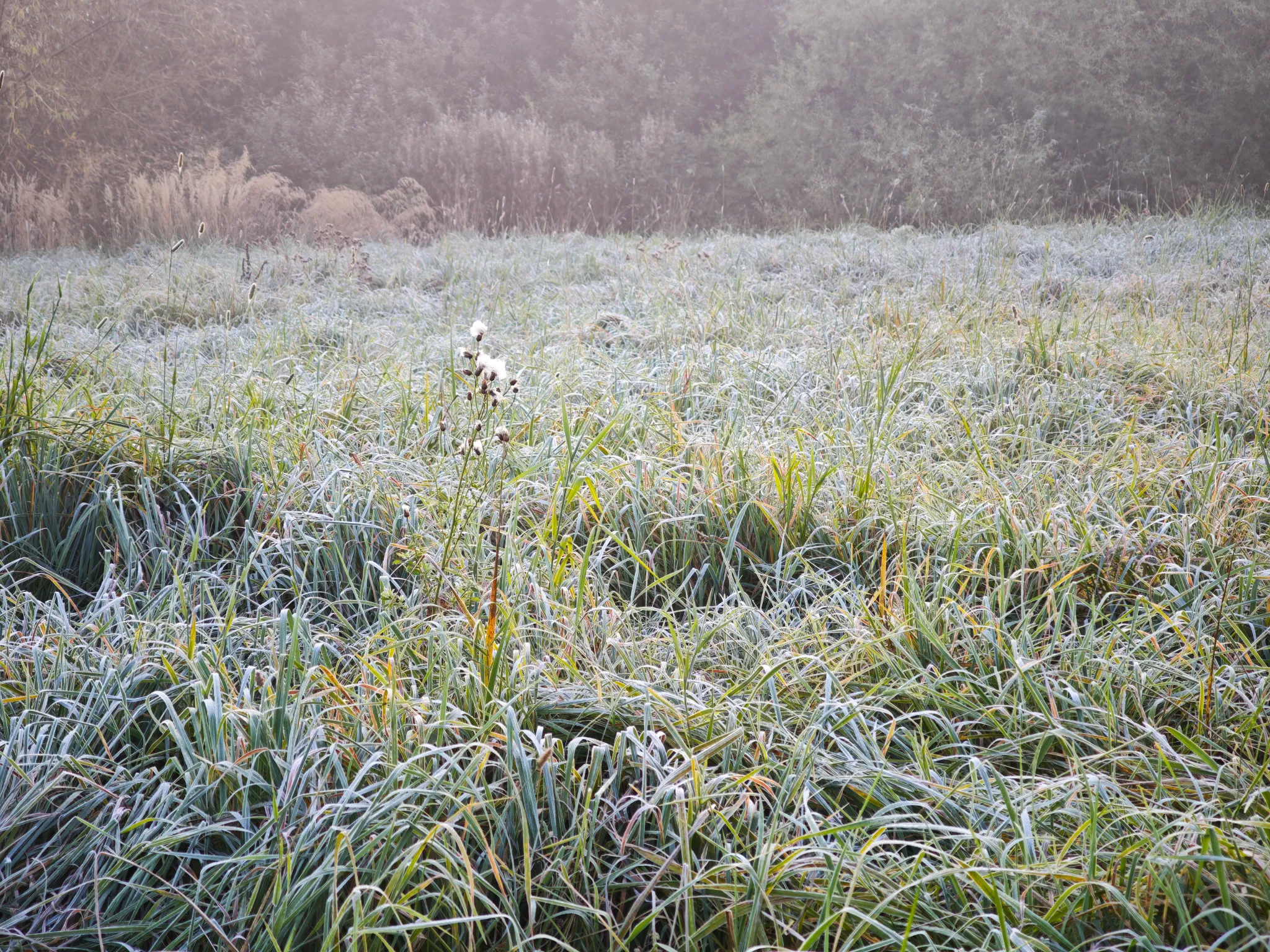 Šalna, orai / Kas vyksta Kaune nuotr.