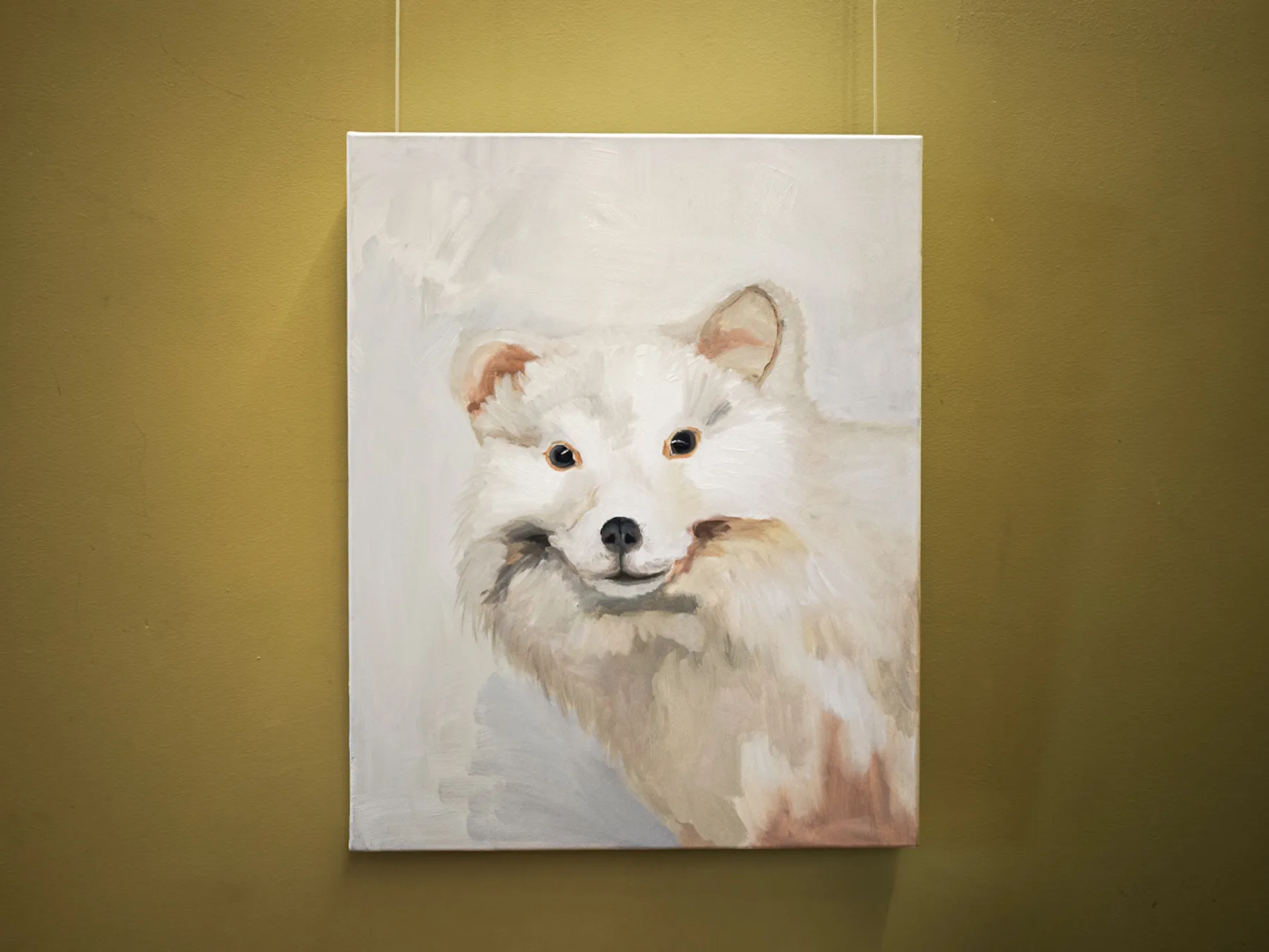 Paroda periferinė rega