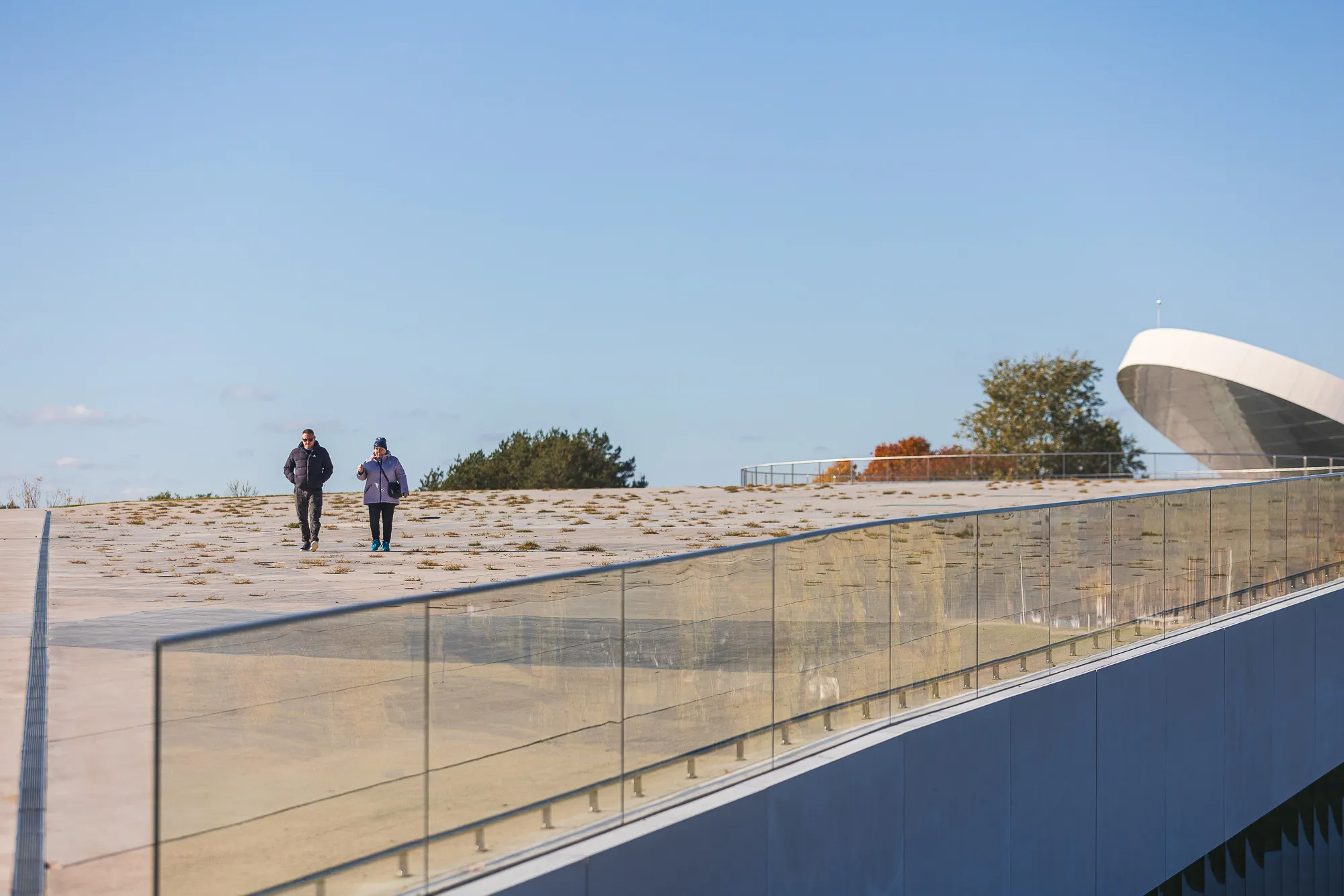 Ruduo Kaune / R. Tenio nuotr.