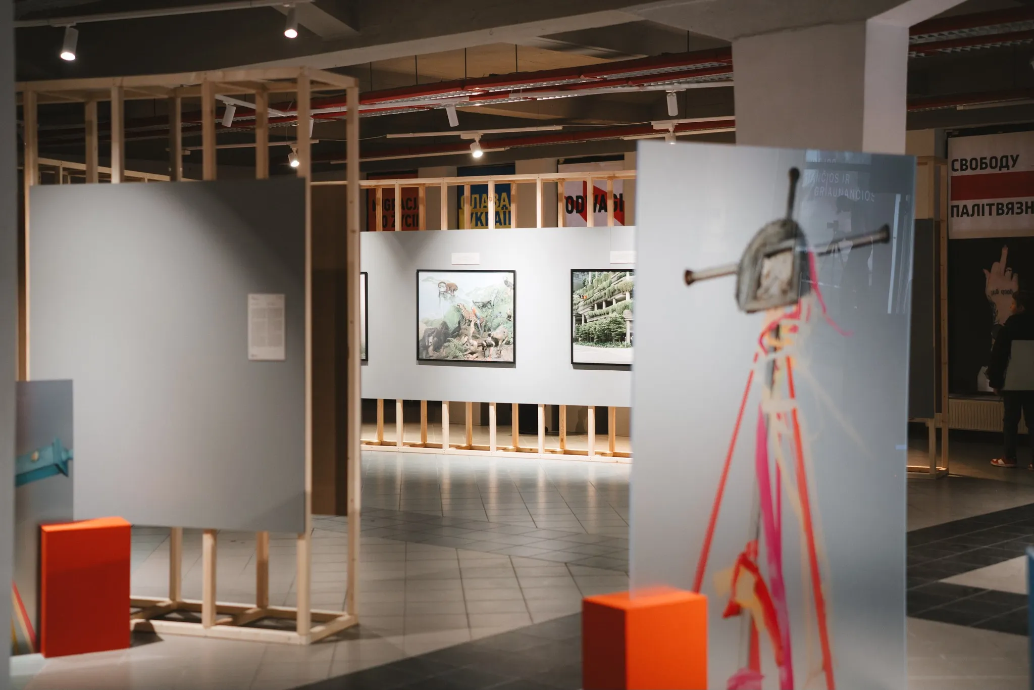 IPMA festivalis, Sebastijono Petkaus nuotr. jpg