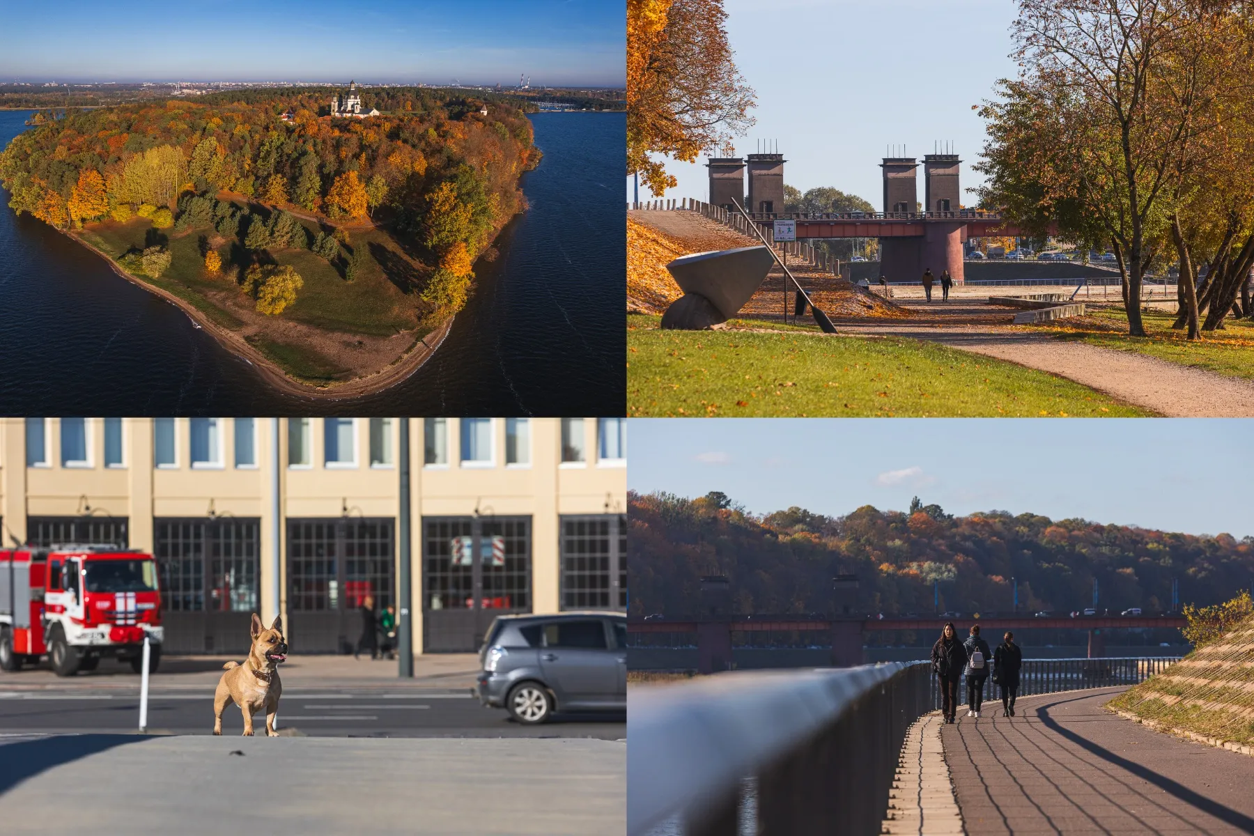 Ruduo Kaune / R. Tenio nuotr.