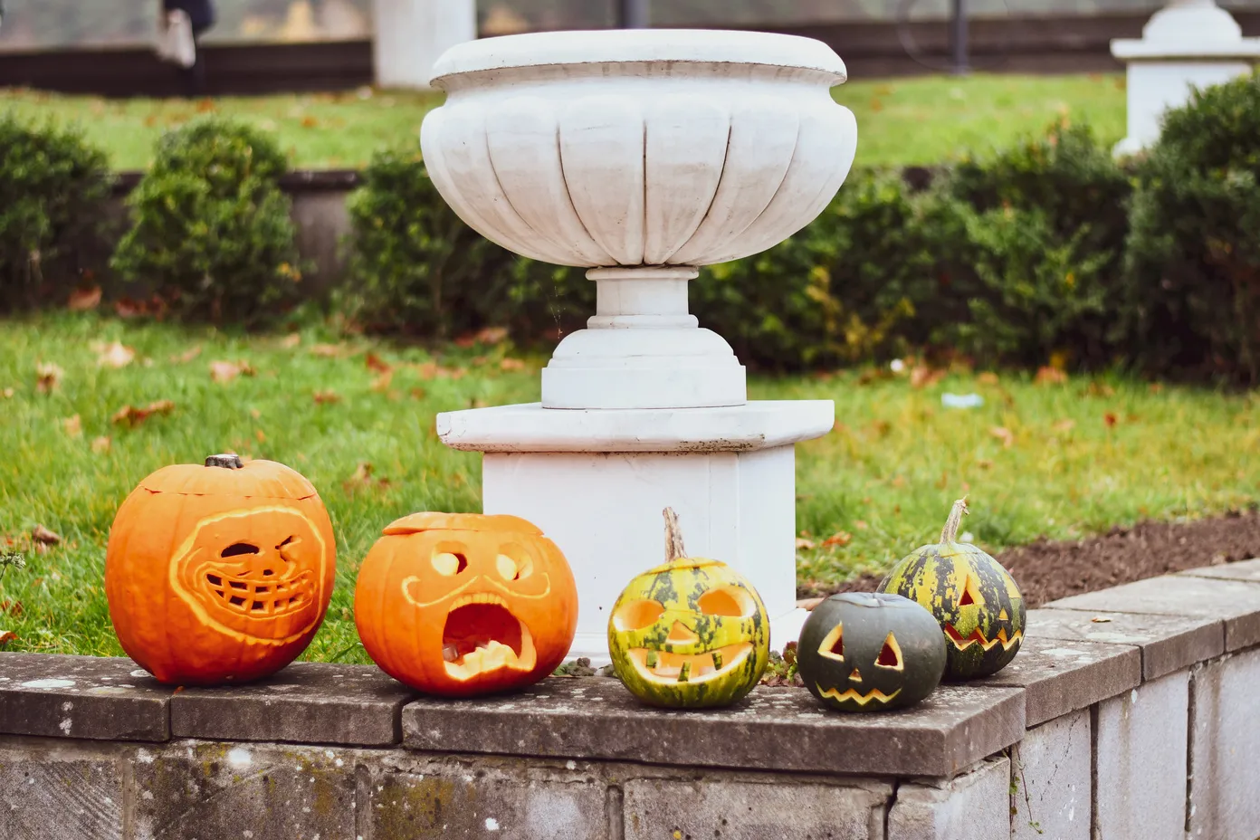 Birštone nušvis moliūgų sodas / Birštono savivaldybės nuotr.