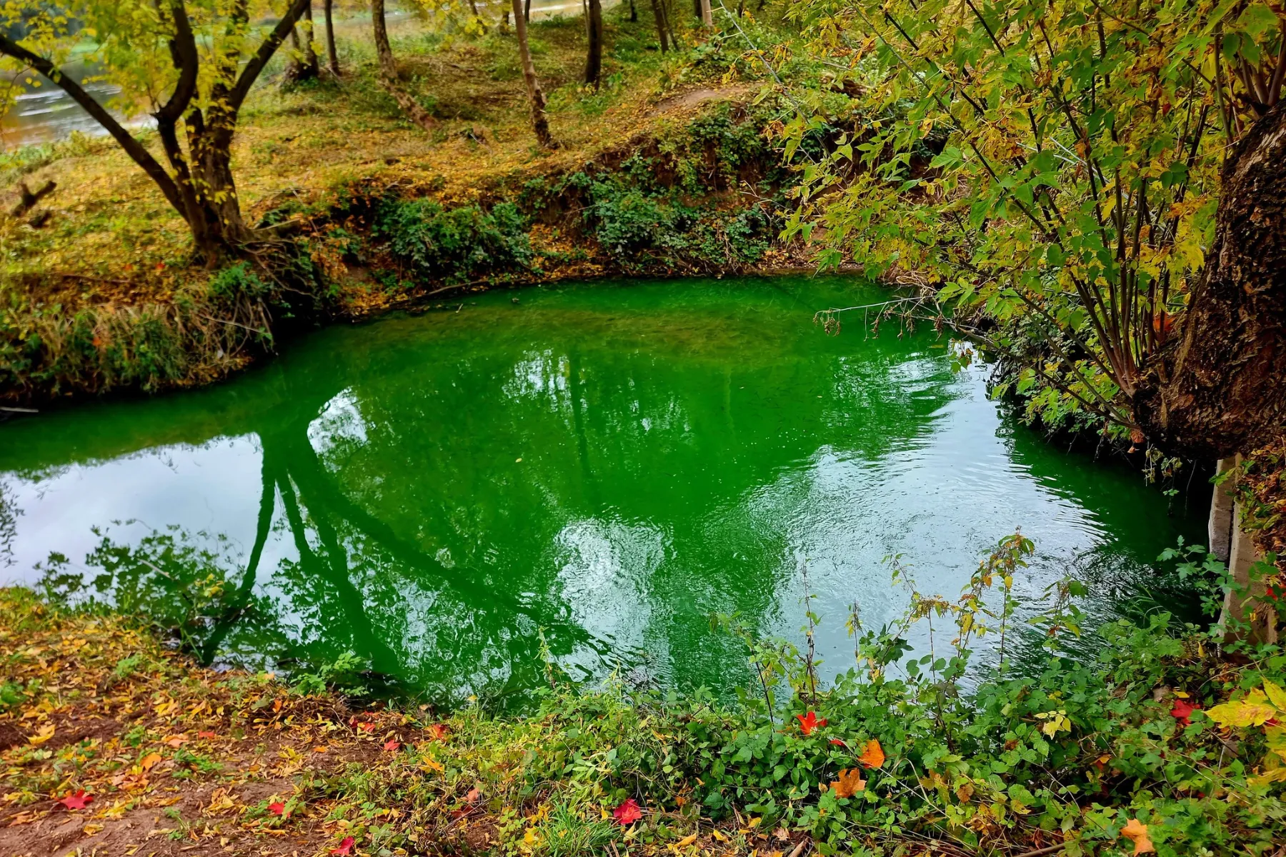 Žalias vanduo Vilijampolėje / „Vilijampolė šiandien“ grupės nuotr.