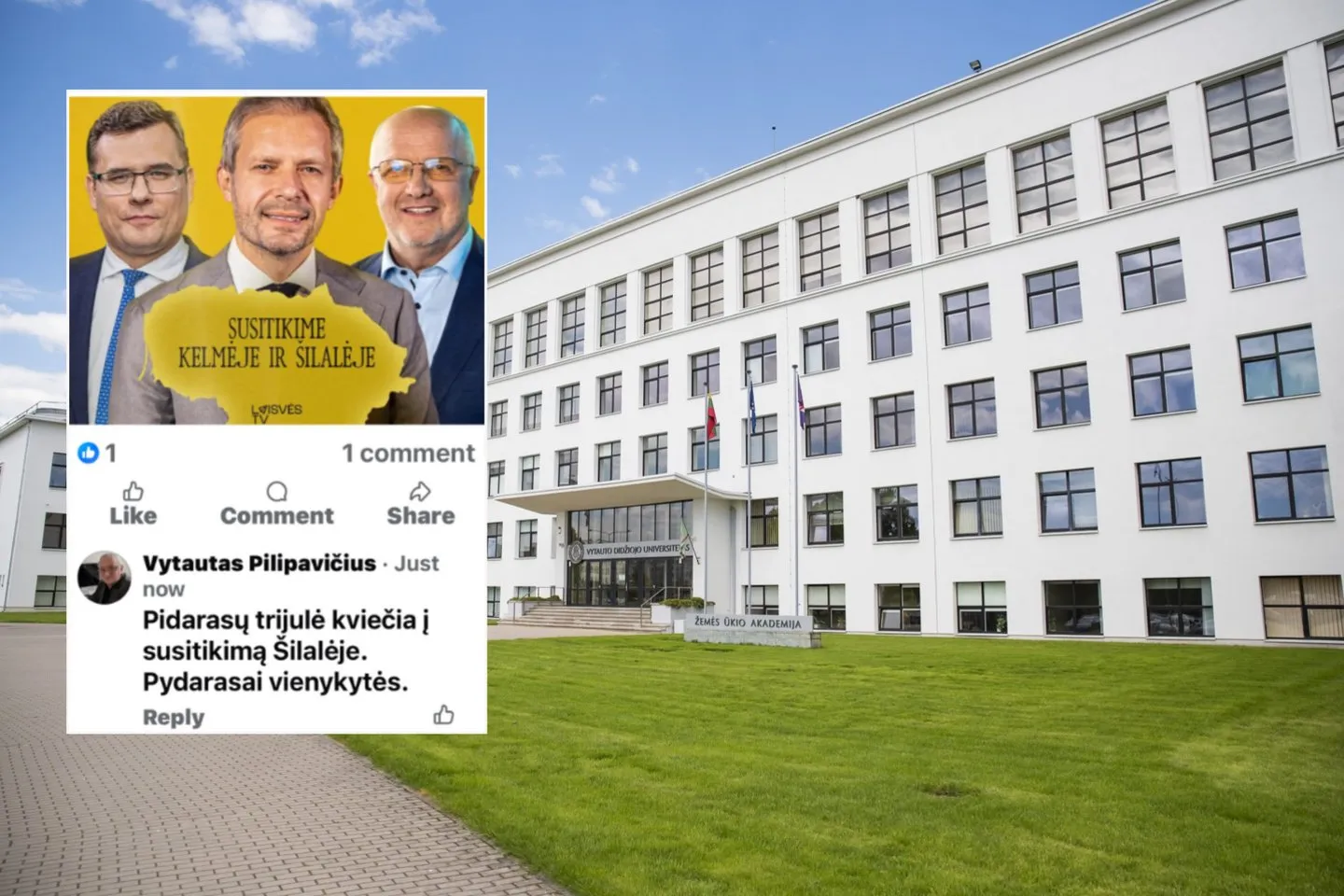 Buvęs VDU dėstytojas išplūdo politikus / Lrytas.lt koliažas