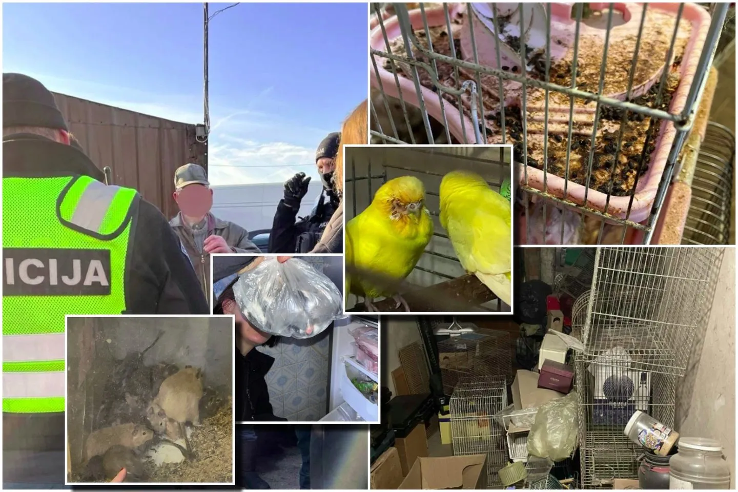 Asociatyvi / Lrytas.lt nuotr.