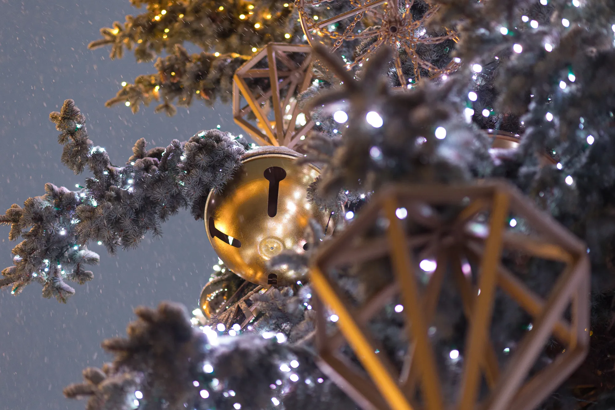 Kalėdų eglę apklojo pirmas sniegas / R. Tenio nuotr.