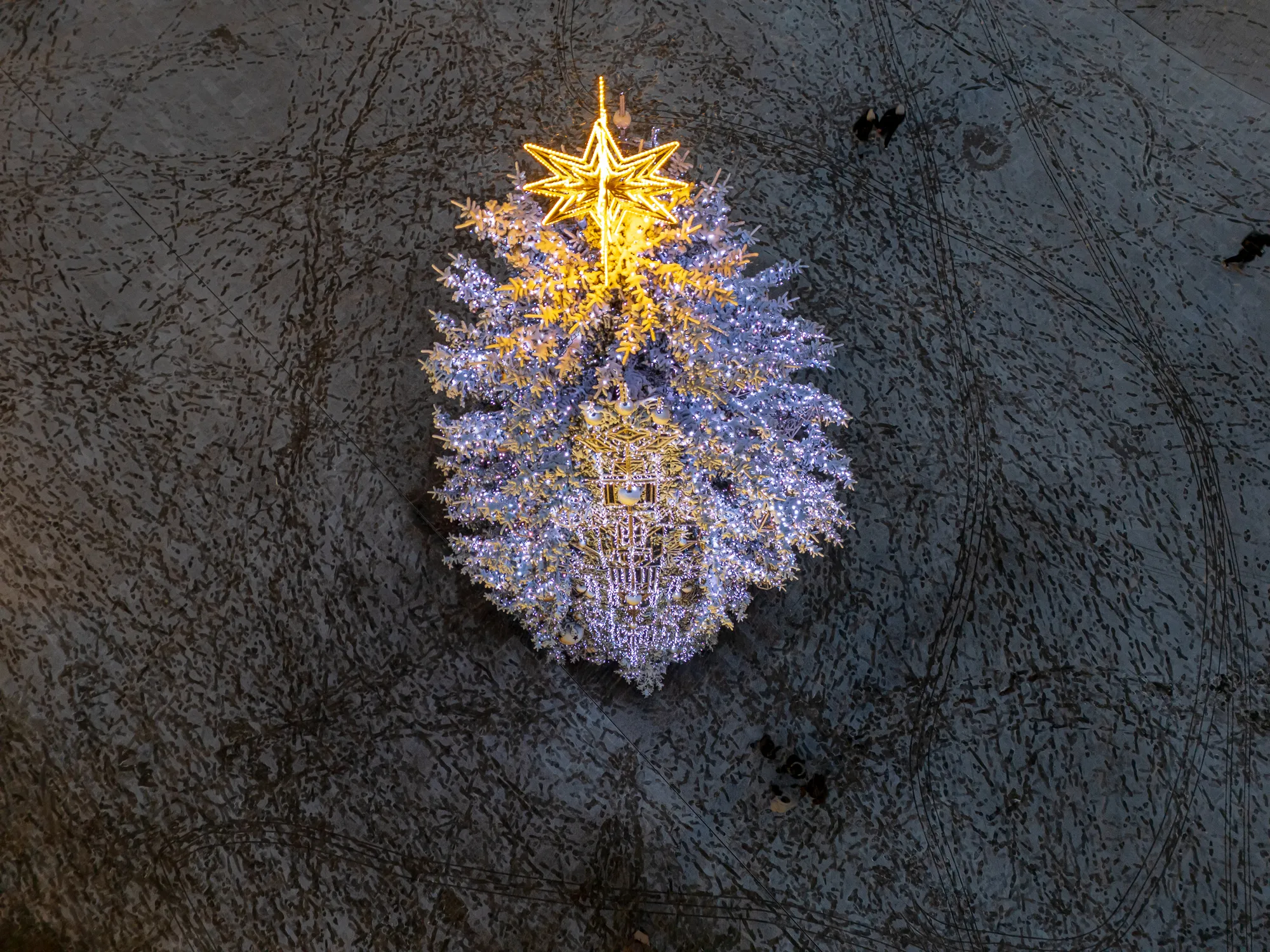 Kalėdų eglę apklojo pirmas sniegas / R. Tenio nuotr.