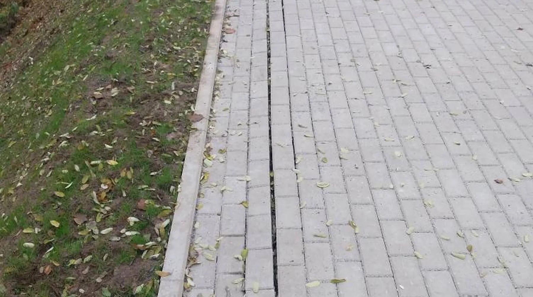 Darbų brokas Milikonių įkalnėje / Skaitytojos nuotr.