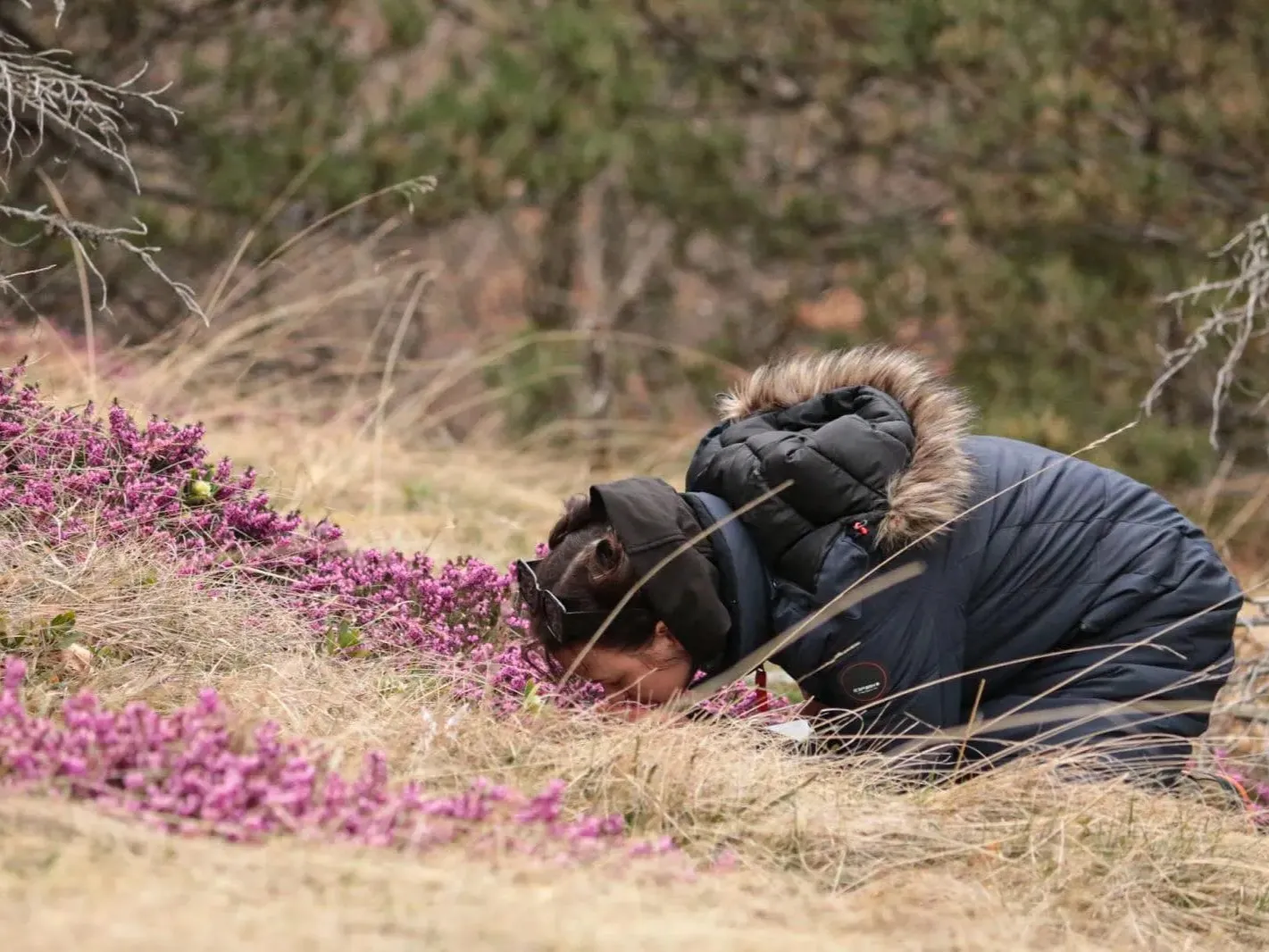 Miško terapija / VMU nuotr.
