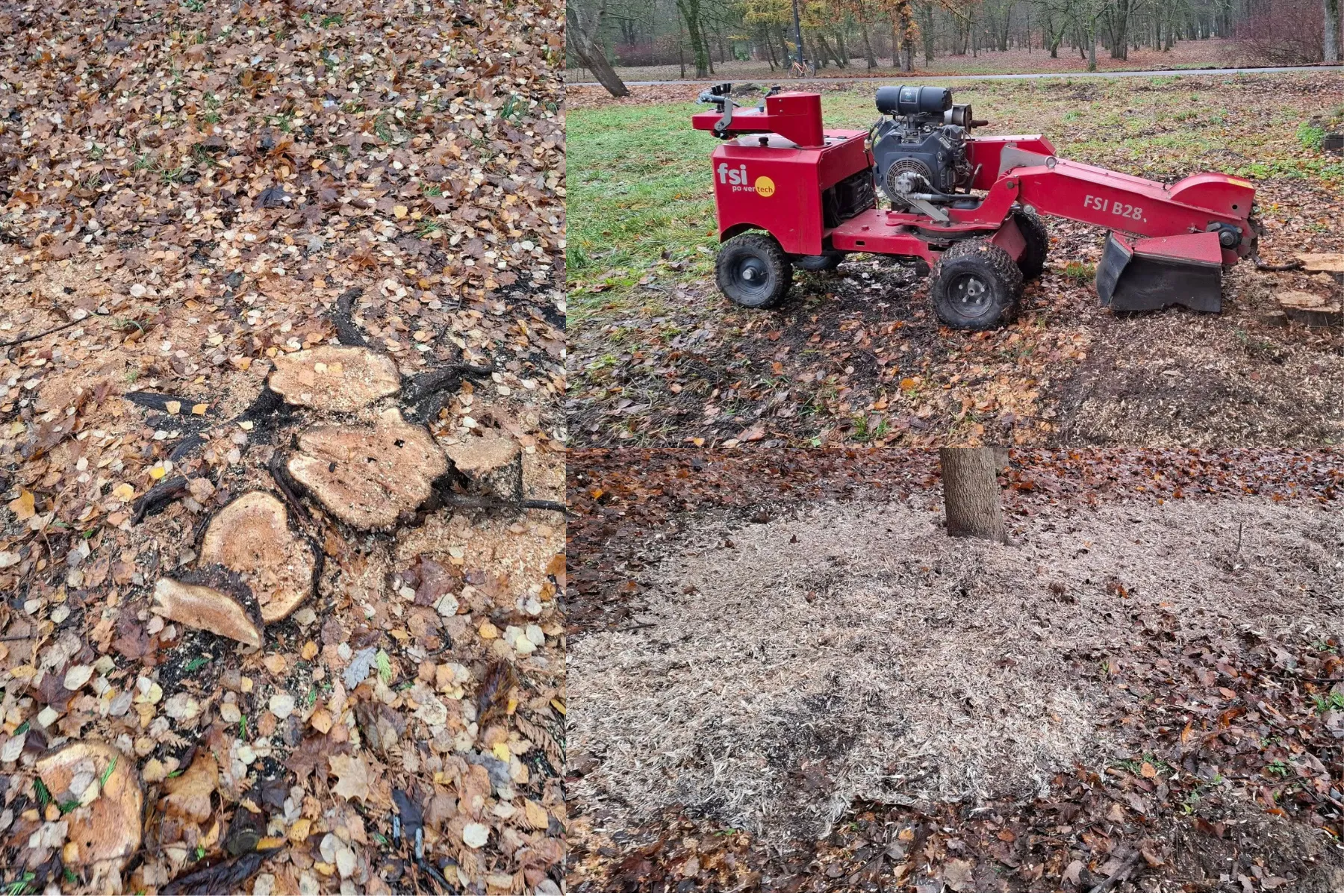 Kauno Ąžuolyne vėl zuja darbininkai / „Girių inspekcija“ nuotr.