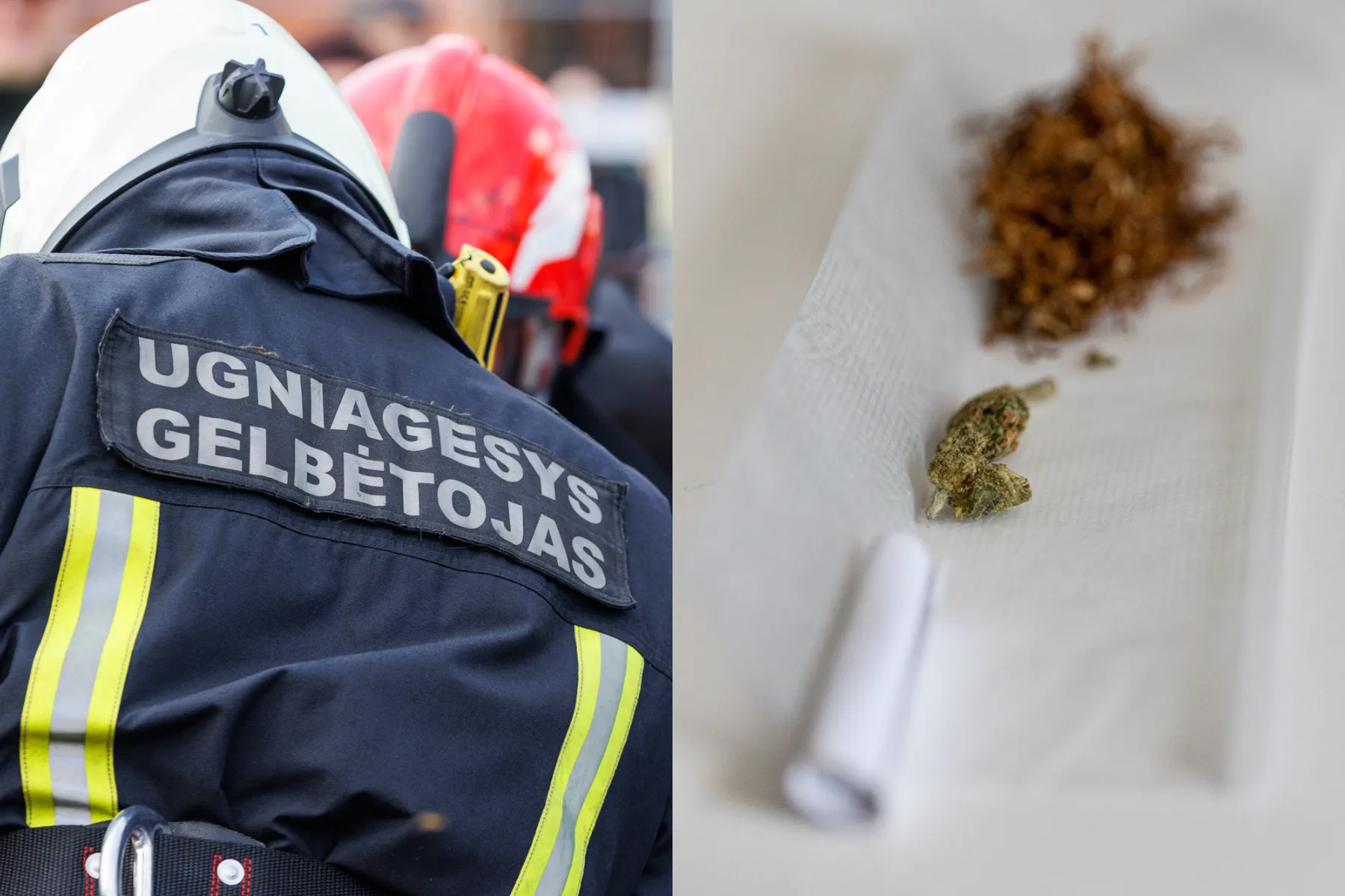 Asociatyvi / R. Tenio nuotr.