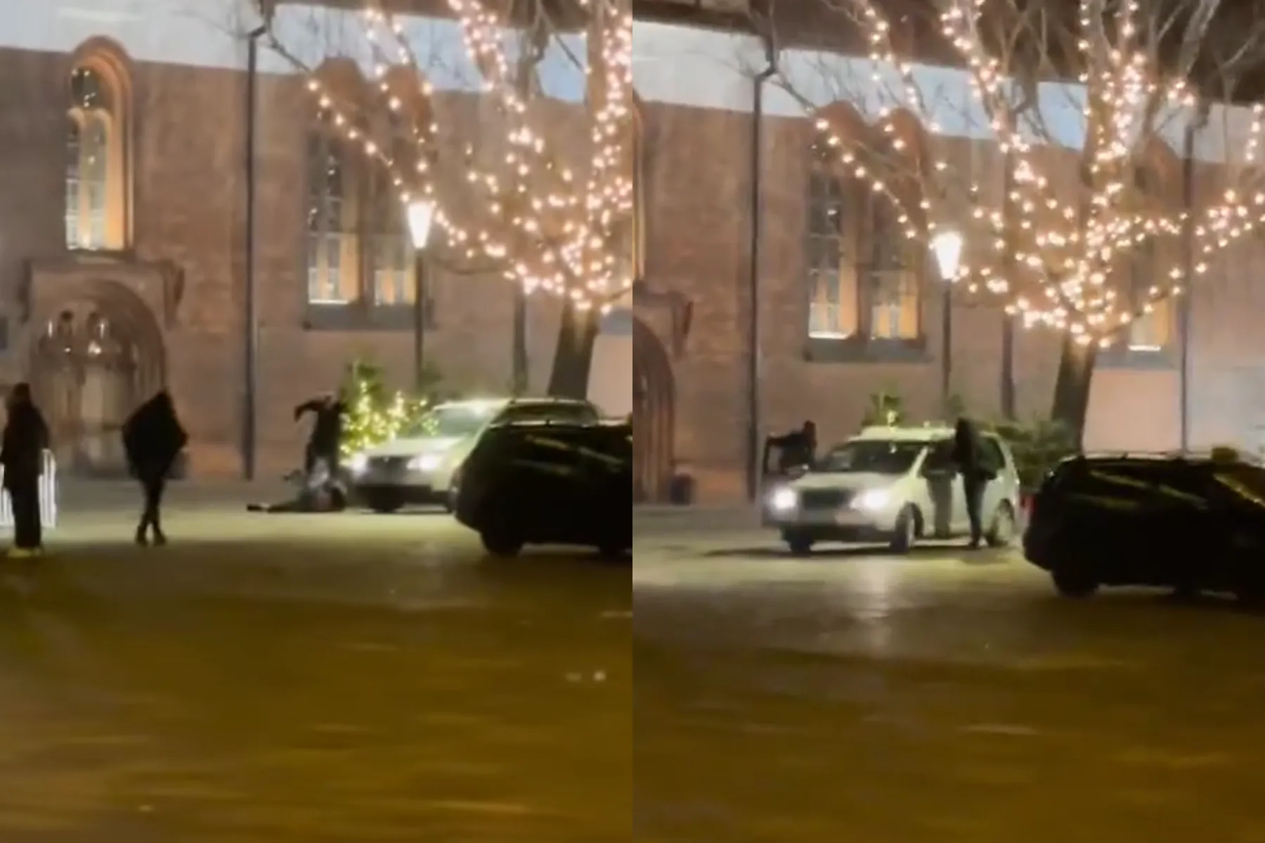 Konfliktas po eglutės įžiebimo / Skaitytojų video stop kadro nuotr.