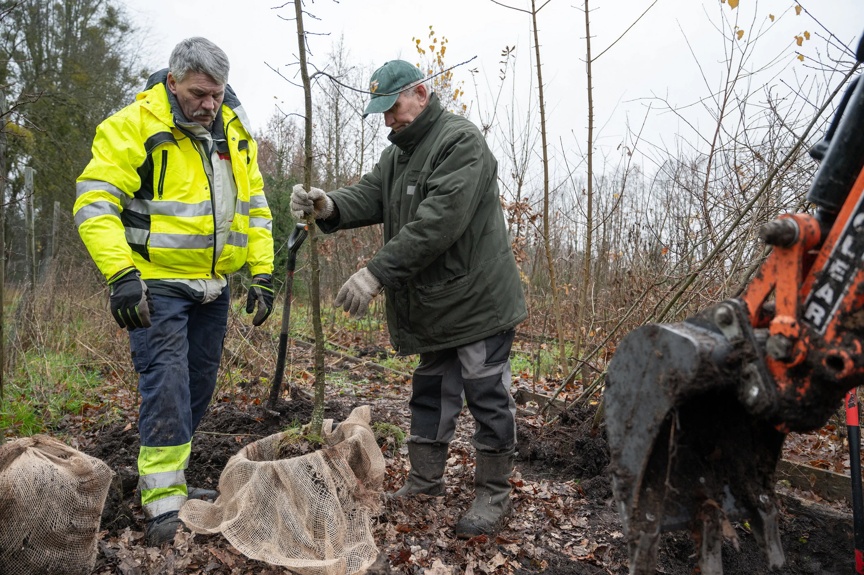 Ąžuoliukų sodinimas (1)