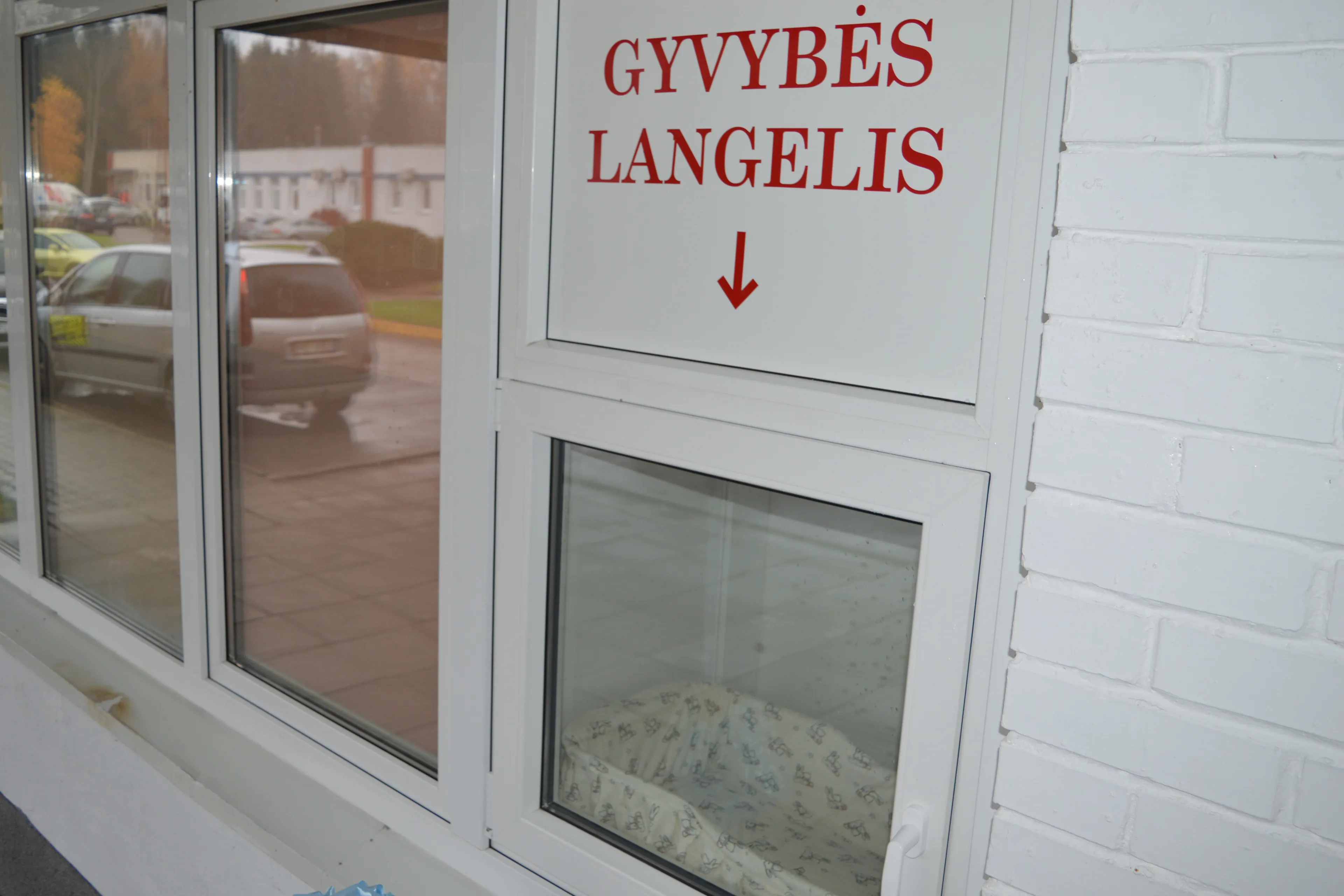 Gyvybės langelis