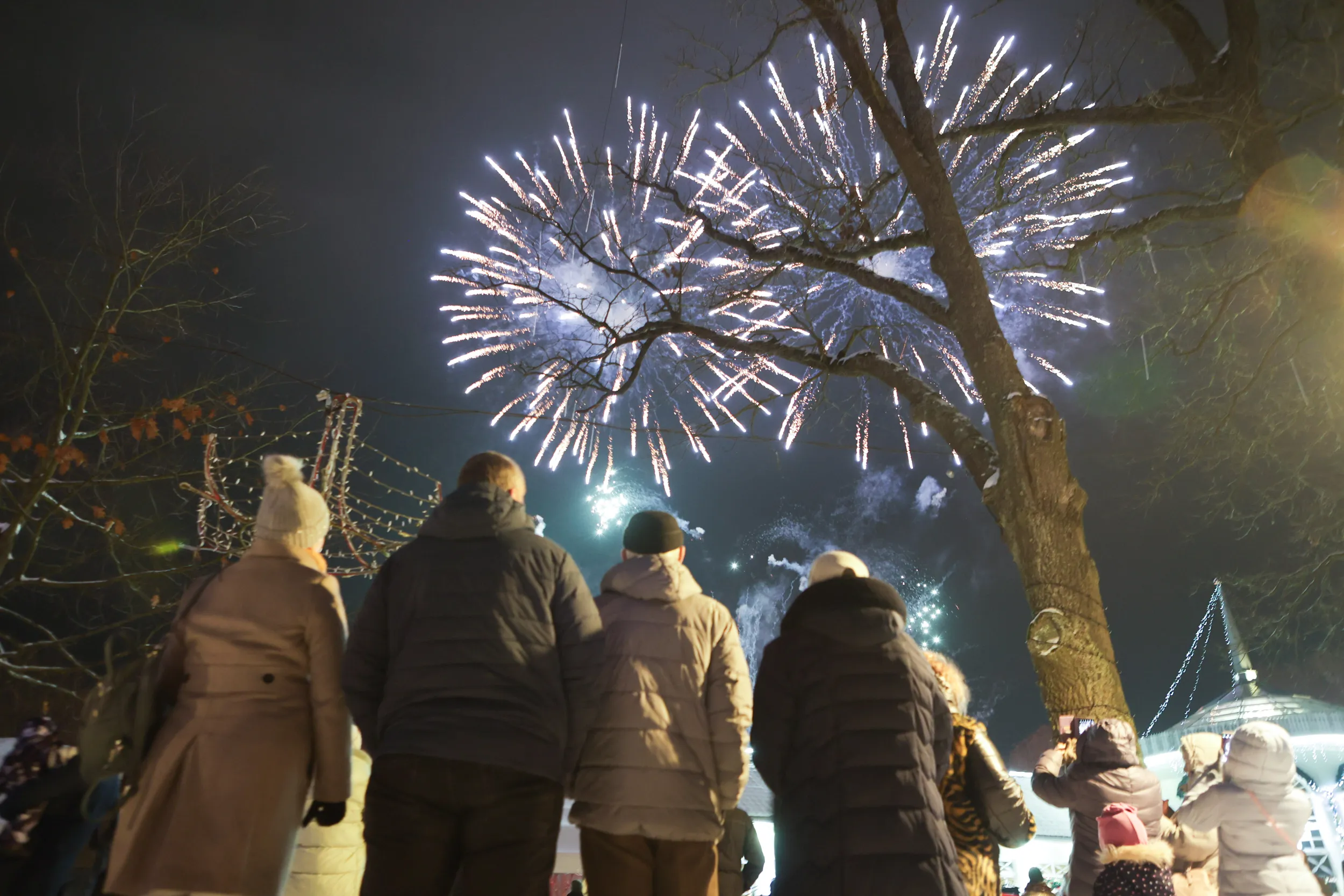 Fejerverkai, Kauno rajono Kalėdų eglės įžiebimas / R. Tenio nuotr.
