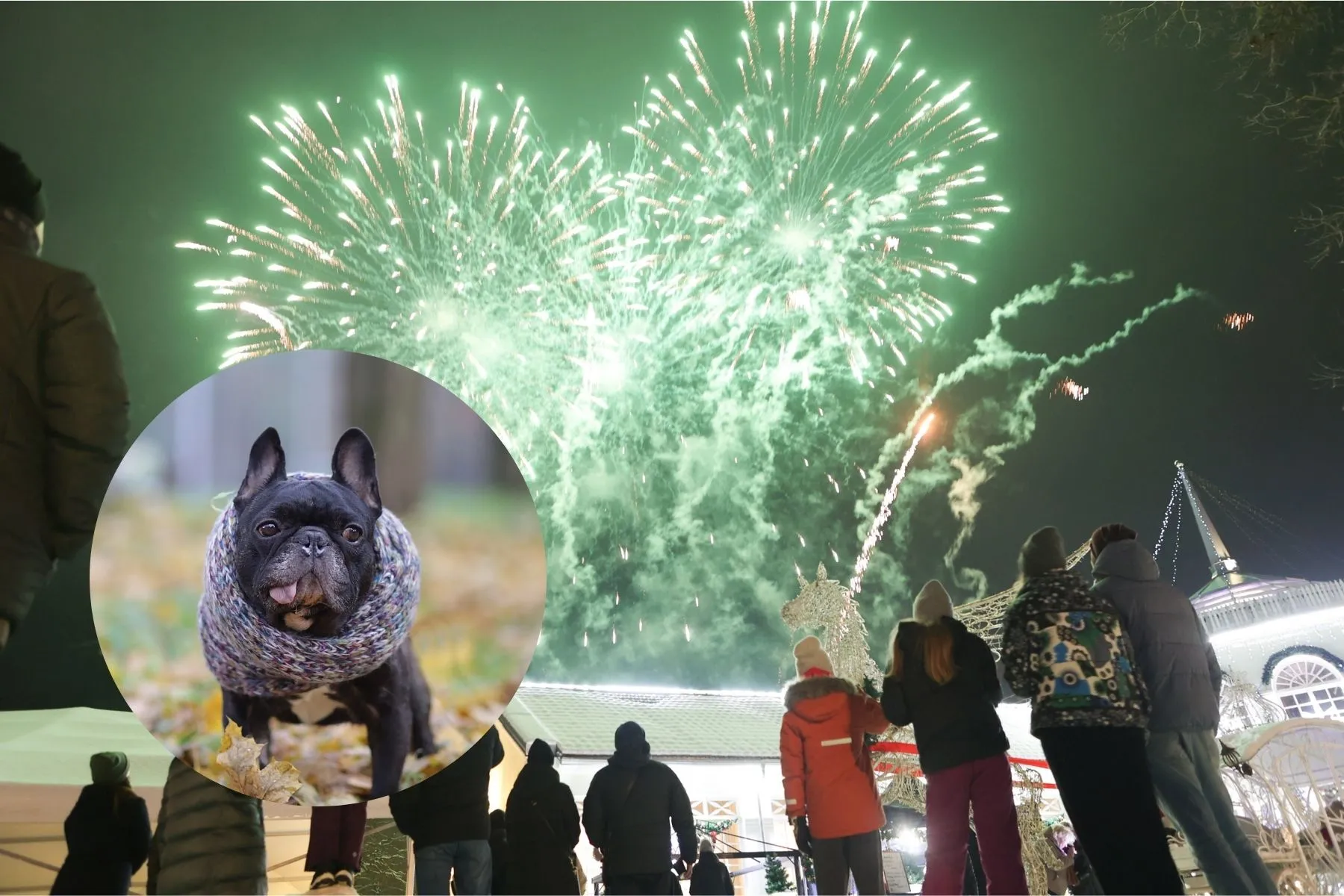 R. Tenio, Dogspotas nuotr.