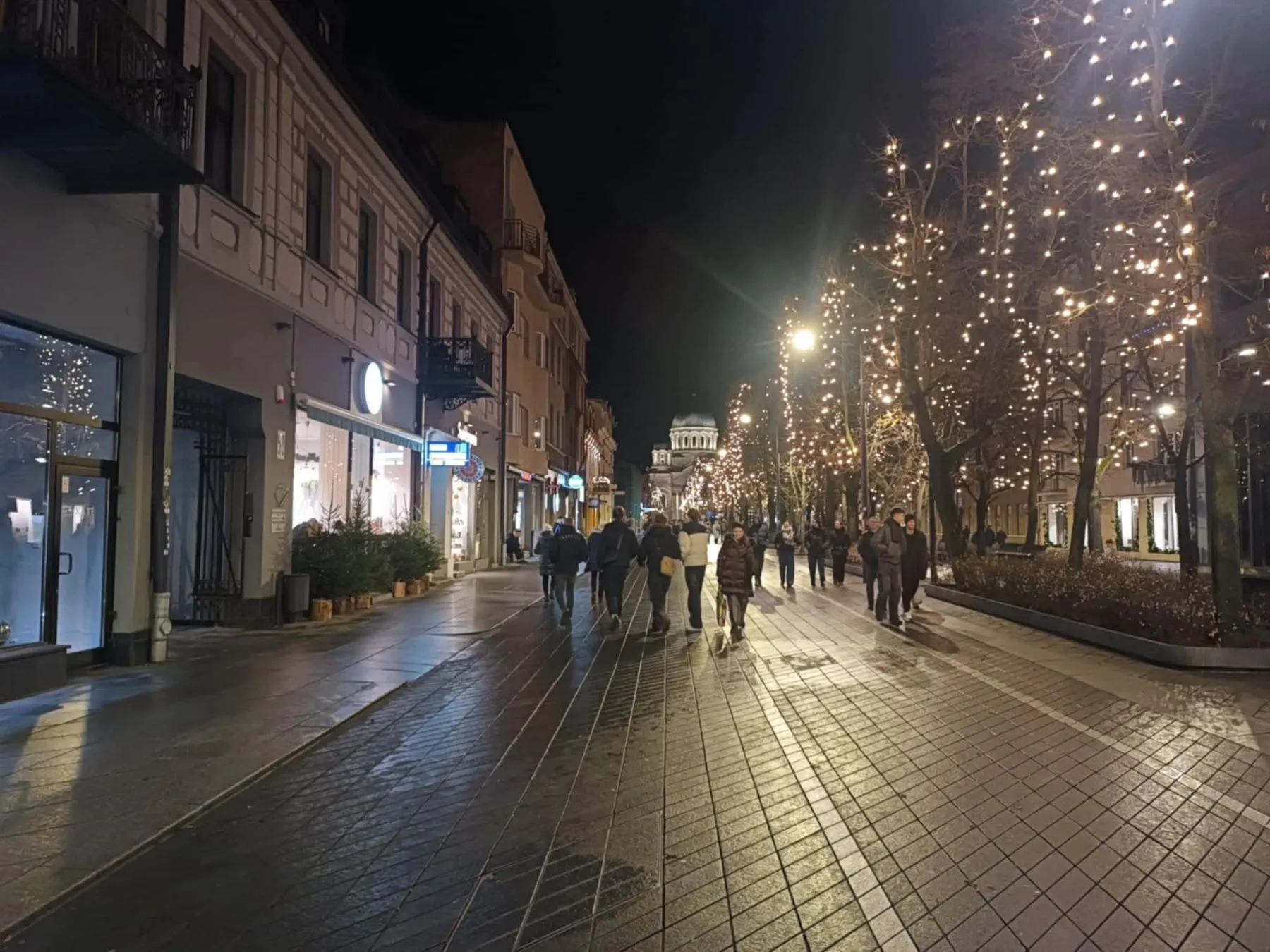 Laisvės alėja / Skaitytojo nuotr.