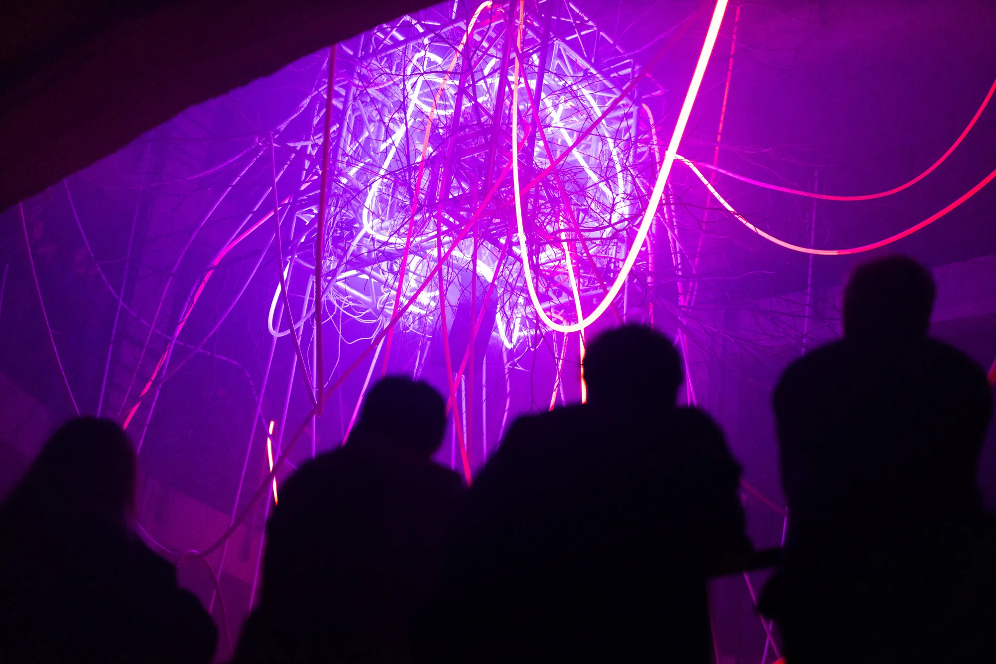 Projektas „Amžinai veikia“ (4)