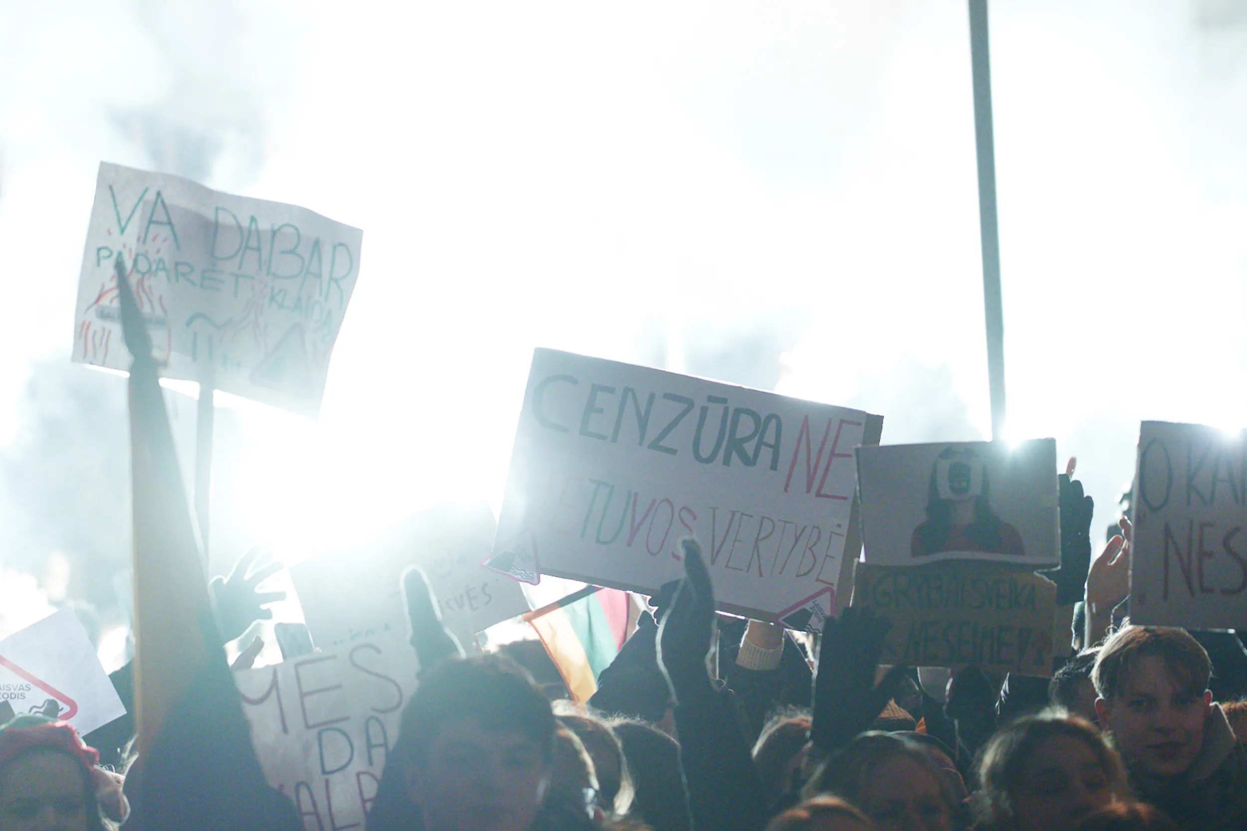 Tūkstantinė kauniečių minia susirinko palaikyti protestuojančių žurnalistų / R. Tenio nuotr.