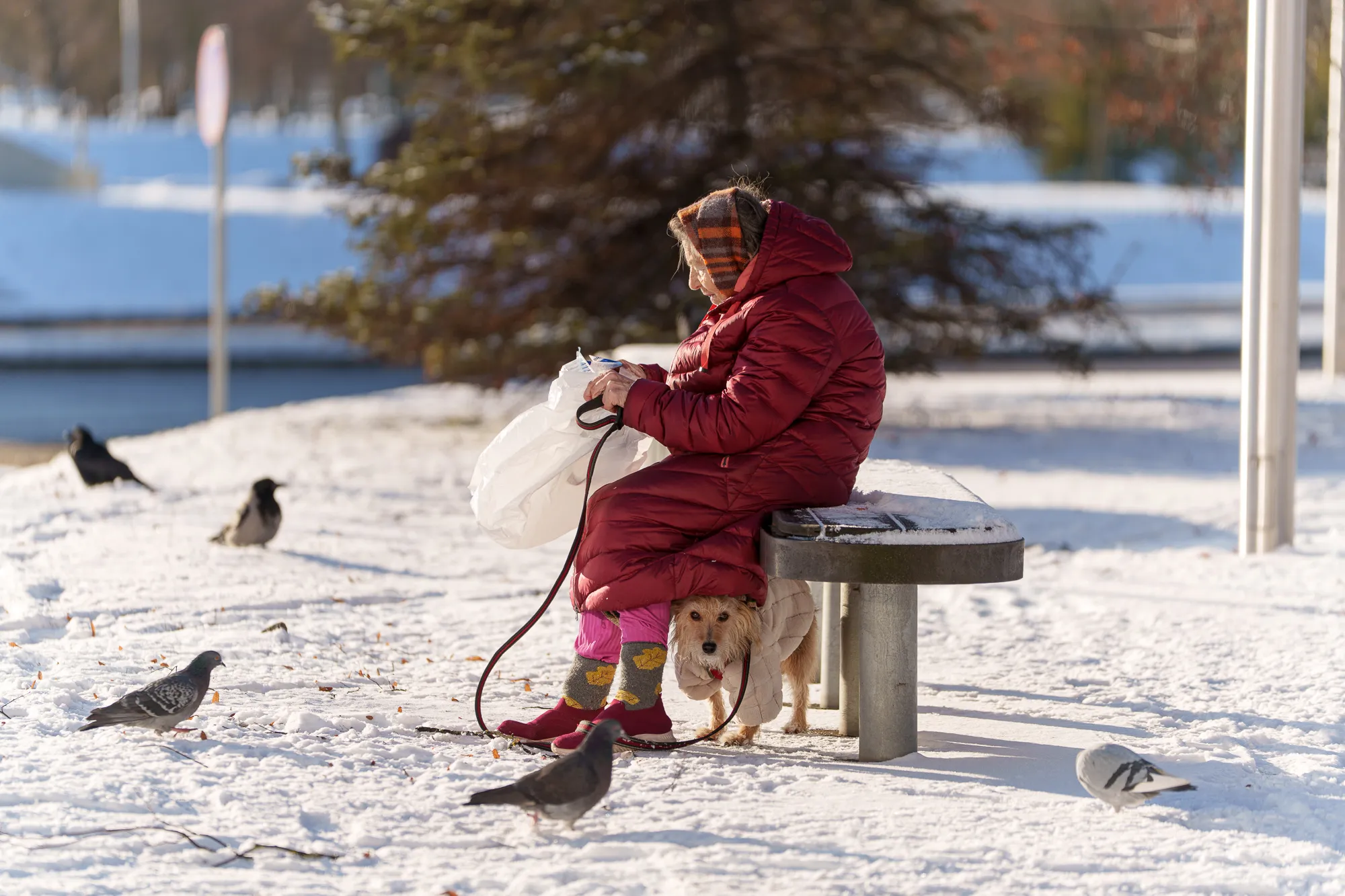 Paskutinė metų diena Kaune / R. Tenio nuotr.