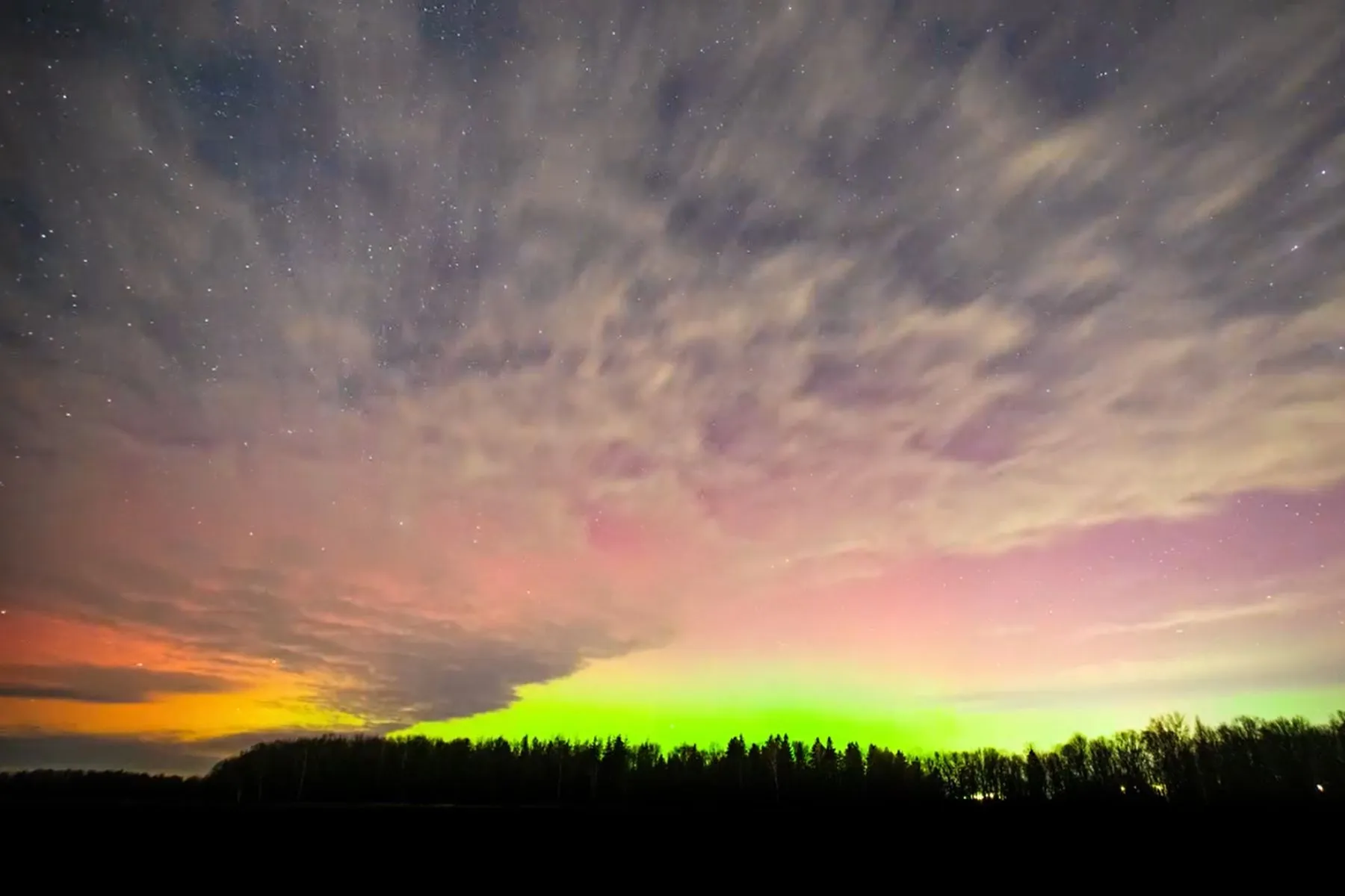 Šiaurės pašvaistė / E. Grižo video stop kadr.