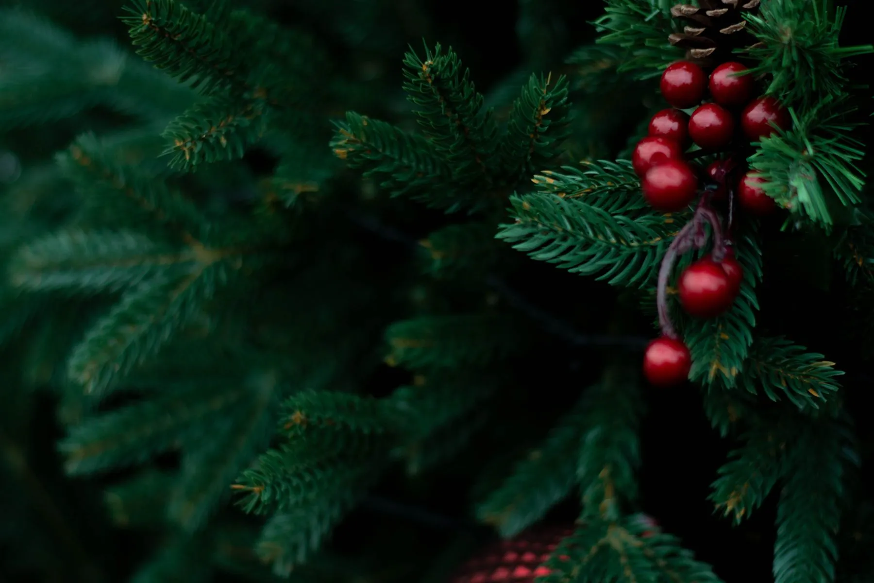 Kalėdos / Organizatorių nuotr.