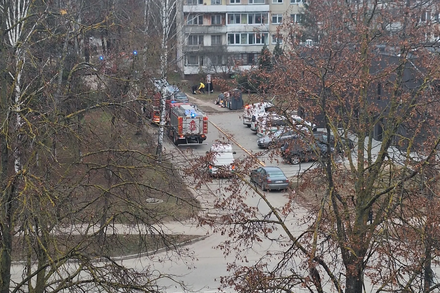 Tarnybų sujudimas / Kauno Dainavos rajono Bendruomenės nuotr.