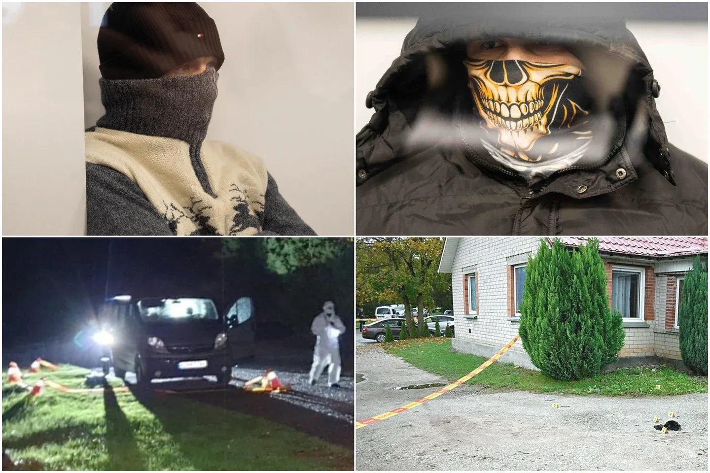 Kaune teisiama gauja / Lrytas.lt koliažas