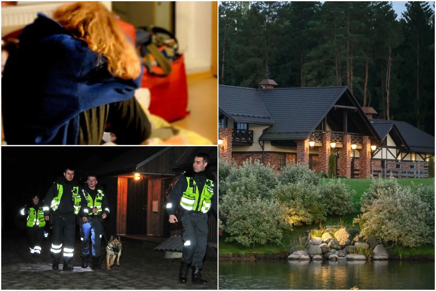 Prabangiame T. Barščio žirgyne košmarą patyrusi suomė Lietuvos raiteliui pateikė milžinišką ieškinį / Lrytas.lt koliažas