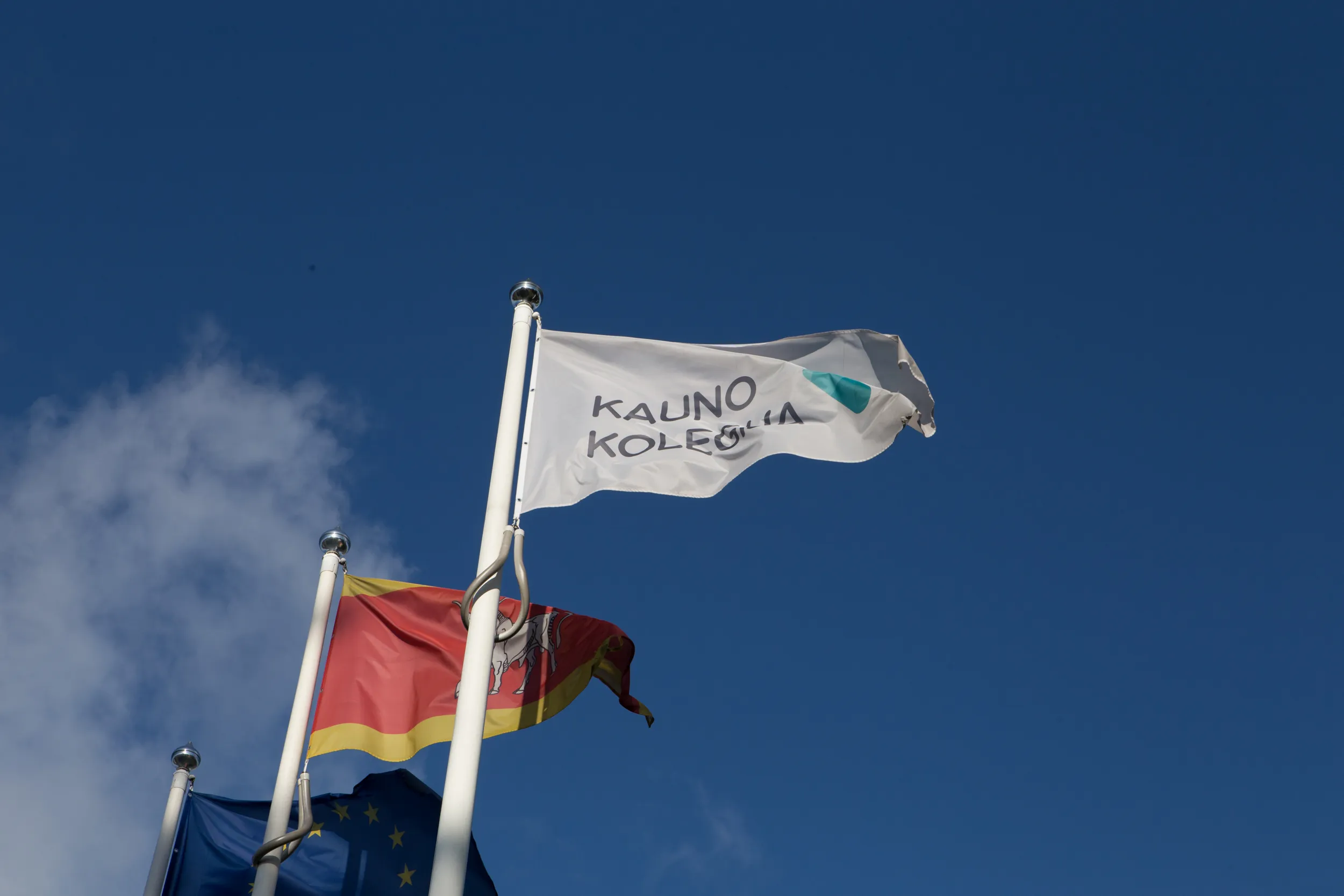 Asociatyvi / M. Vizbaro, BNS nuotr.