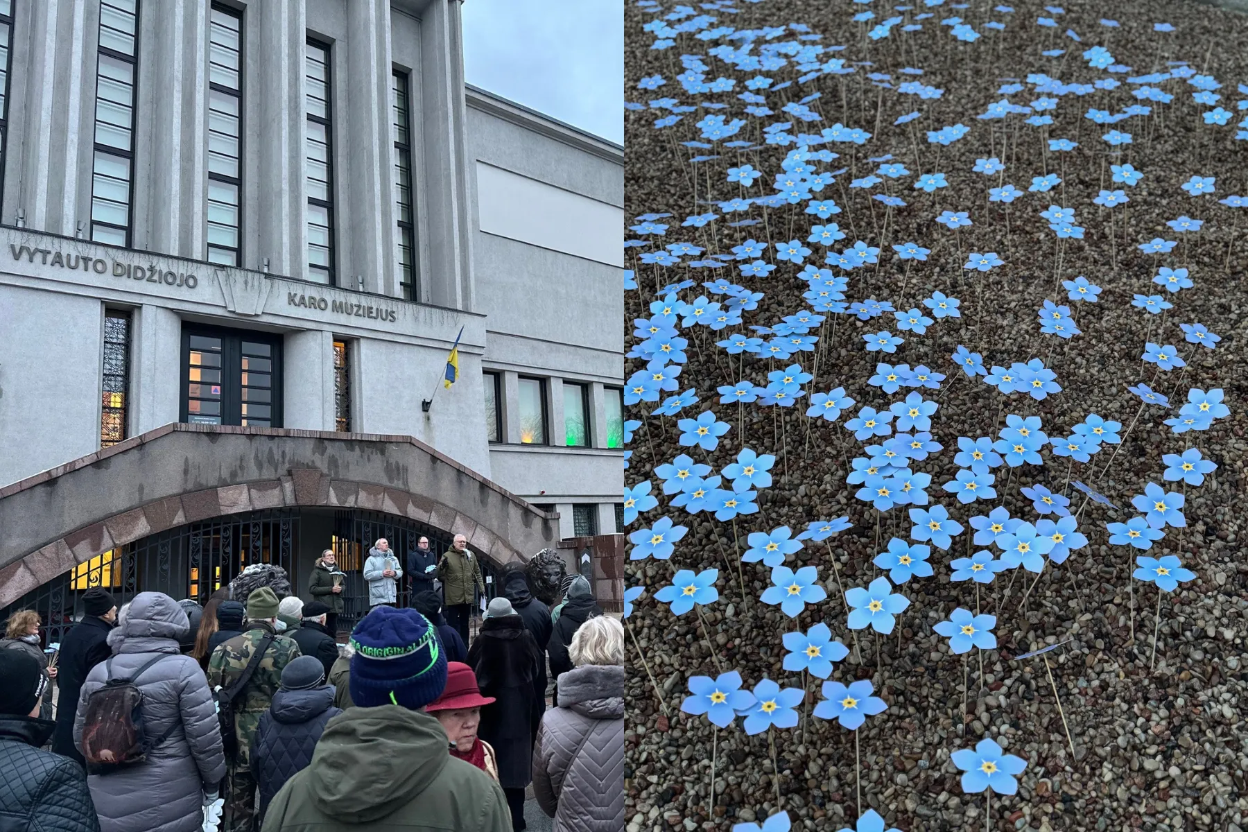 Karo muziejus, neužmirštuolių pieva