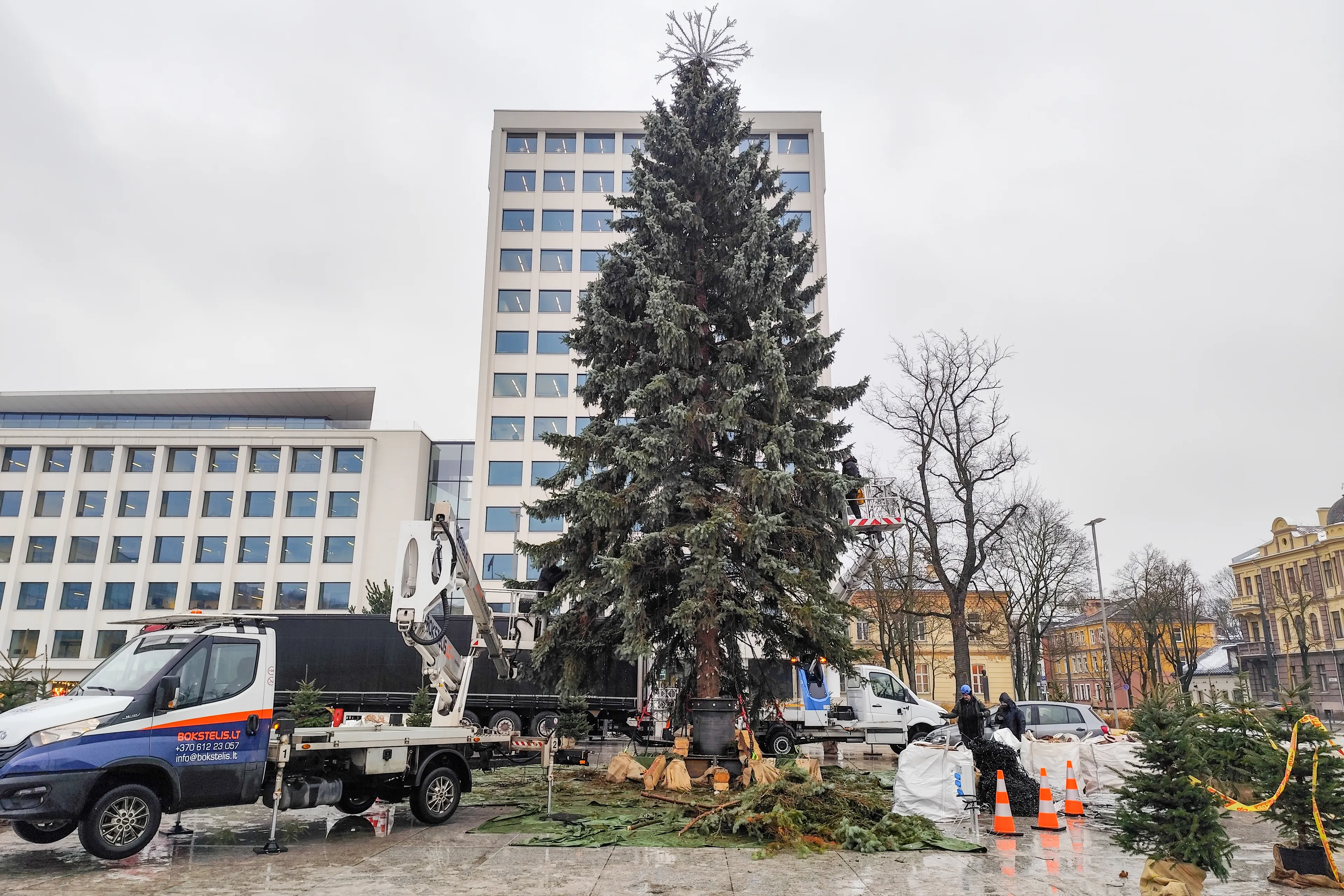 Nupuošiama Kalėdų eglė