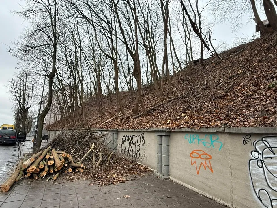 Miesto centre kertami medžiai / Skaitytojos nuotr.