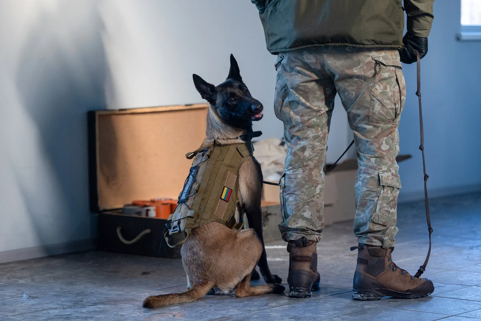 Tarnybinių šunų mokymai Kauno oro uoste / E. Rapalytės nuotr.