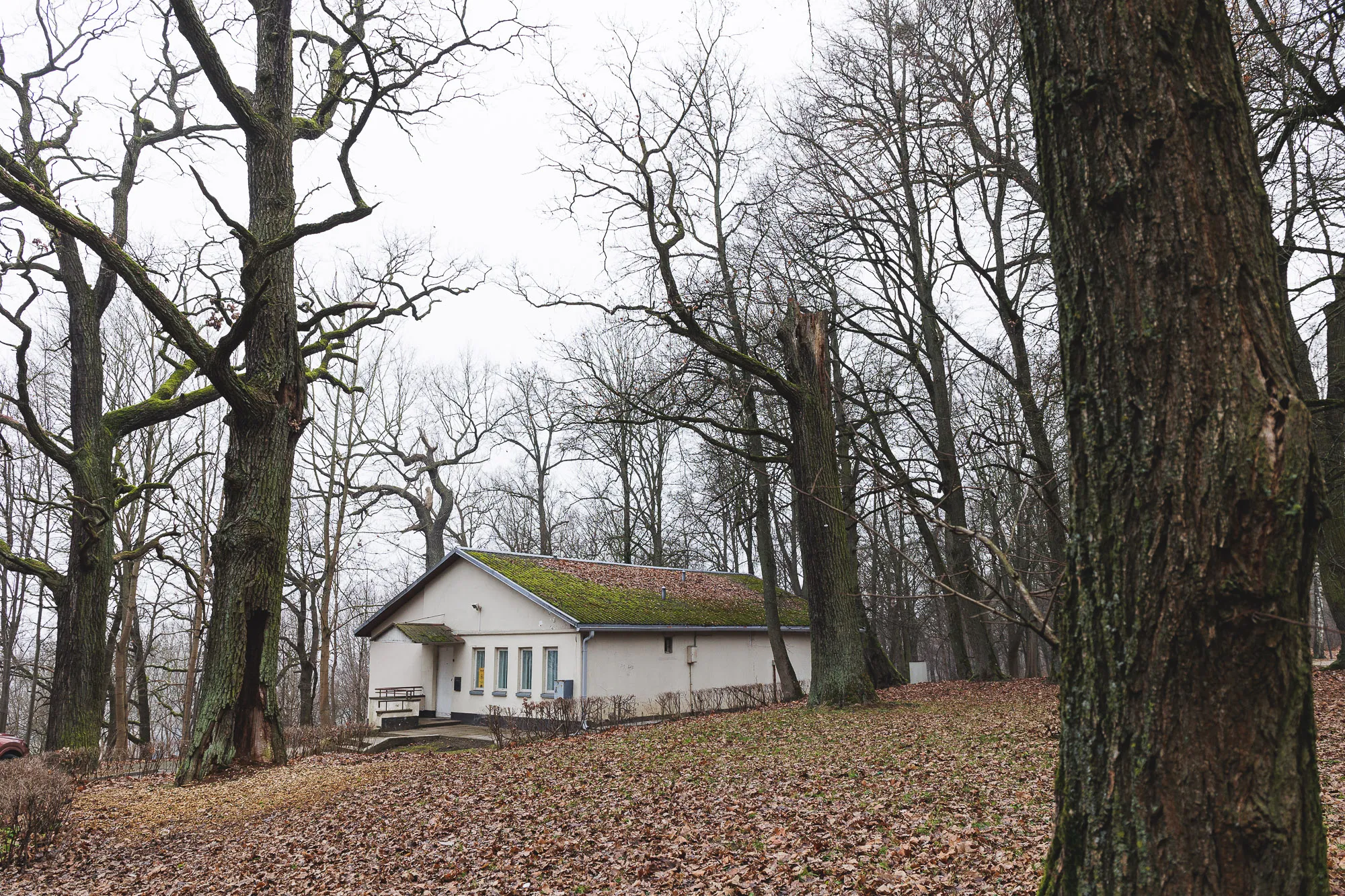 Išduotas vykdomasis raštas Kauno savivaldybei: verslininkai per antstolį sieks pradėti pastato remontą Vytauto parke
