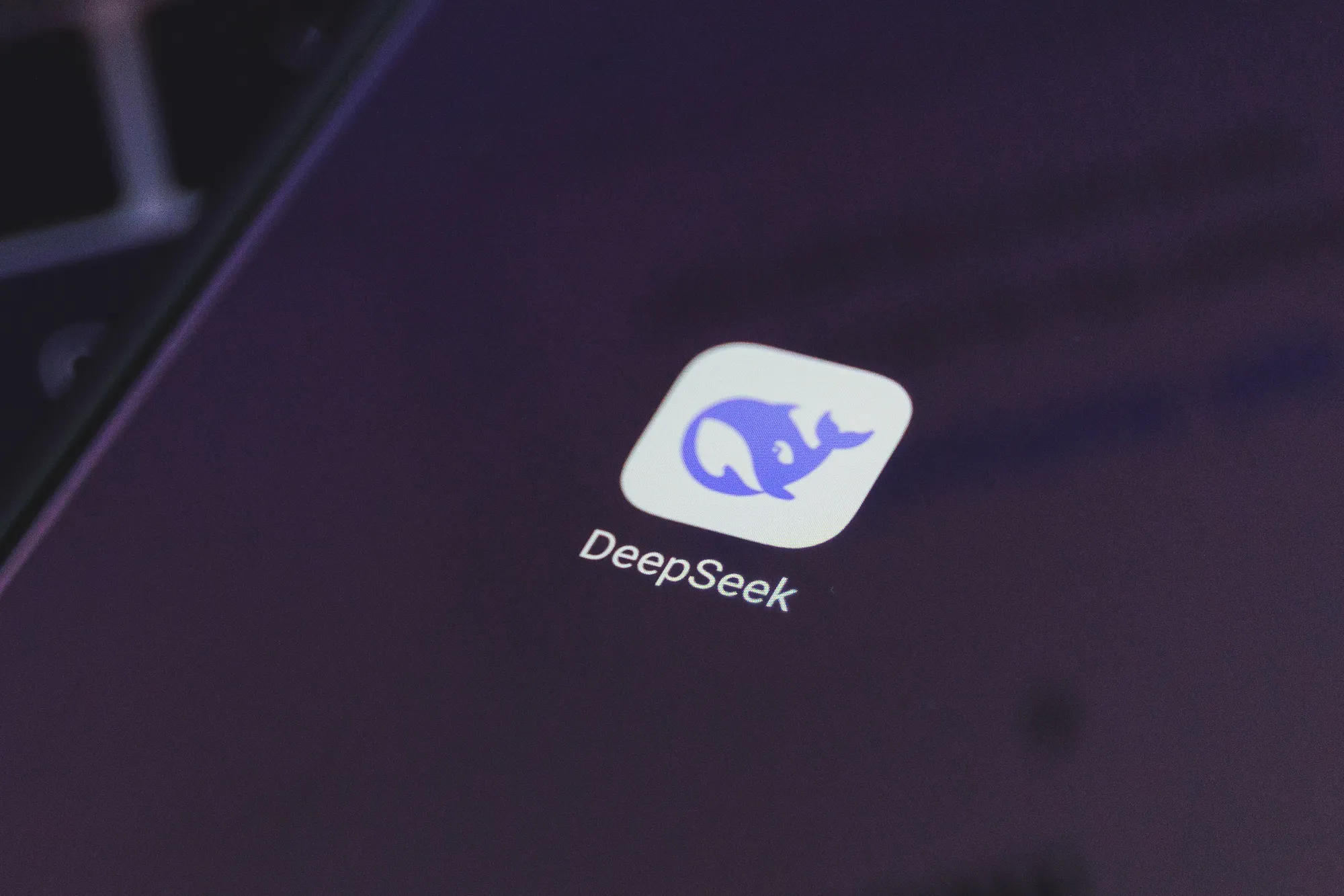 Deepseek / R. Tenio nuotr.