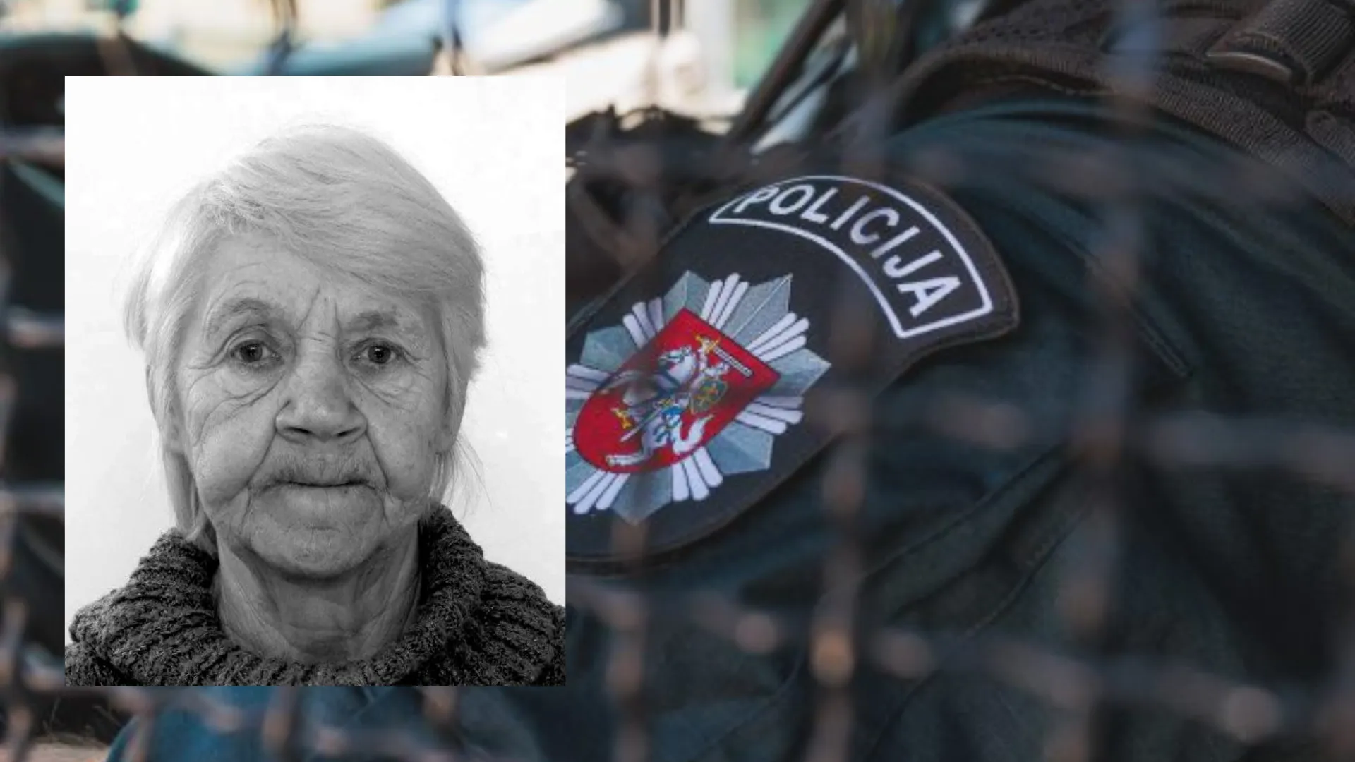 Kaune dingo moteris / Kauno apskr. VPK nuotr.