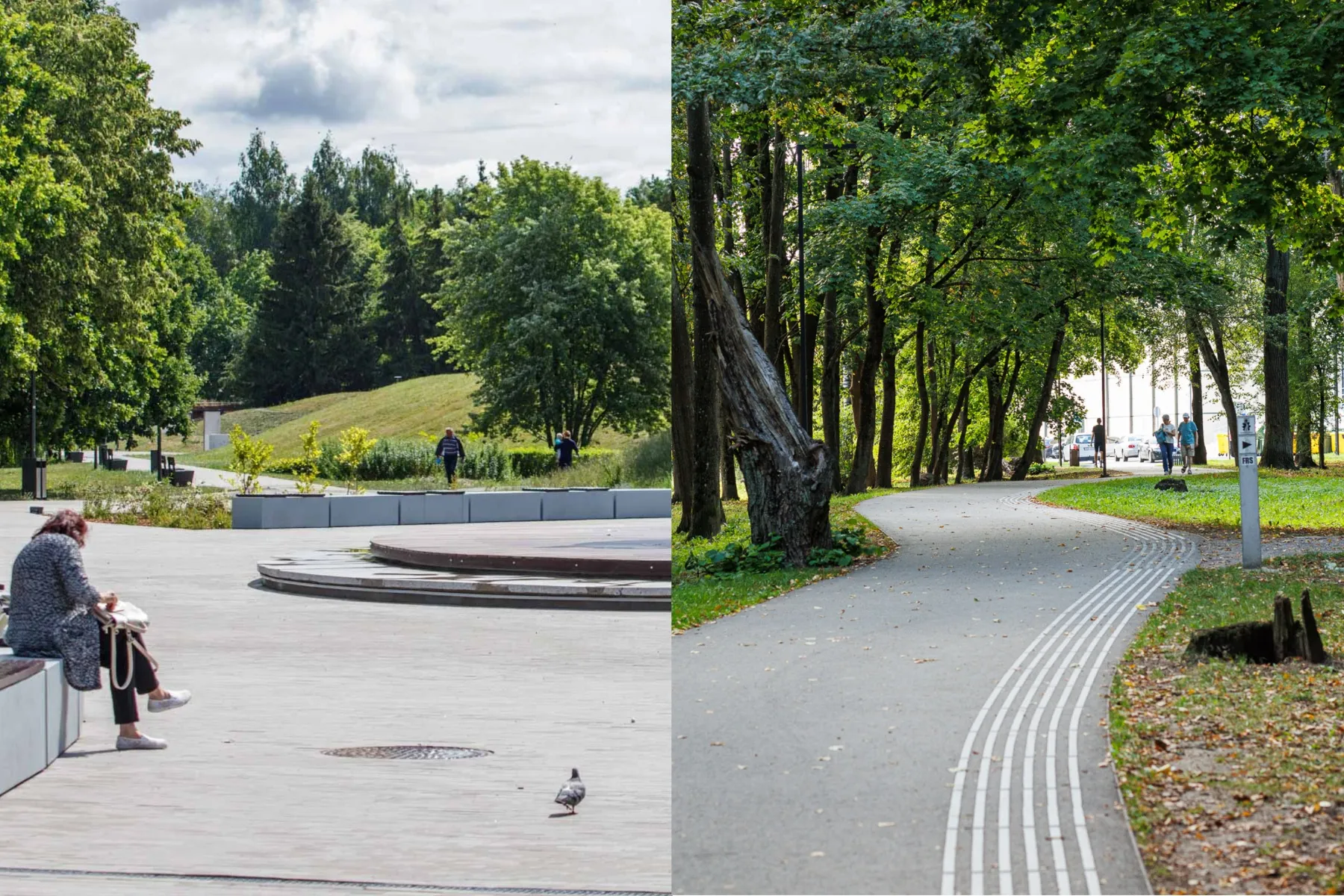 Draugystės ir Ąžuolyno parkai, kuriuose turėtų atsirasti nauji meno kūriniai / R. Tenio nuotr.
