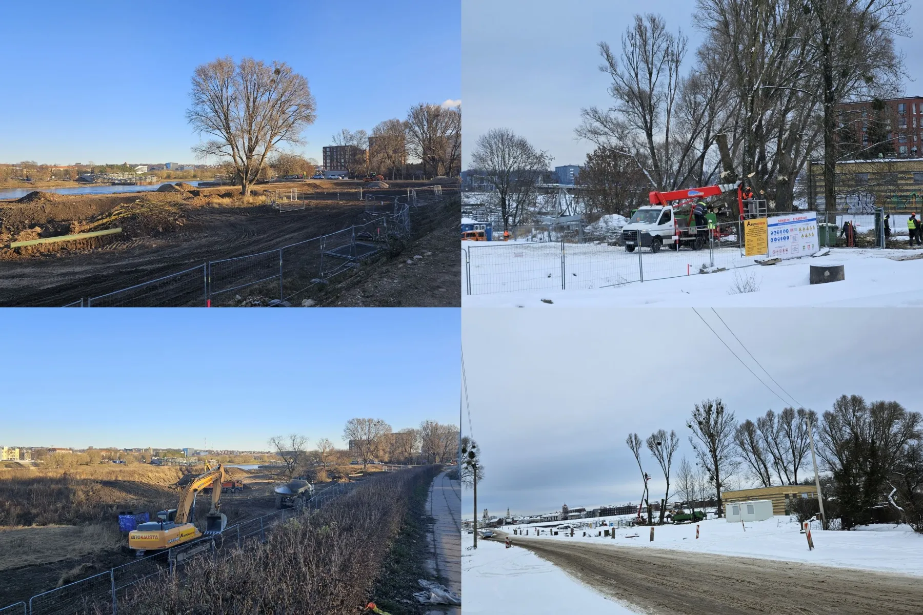 Pjaunami medžiai H. ir O. Minkovskių gatvėje / Skaitytojo nuotr.