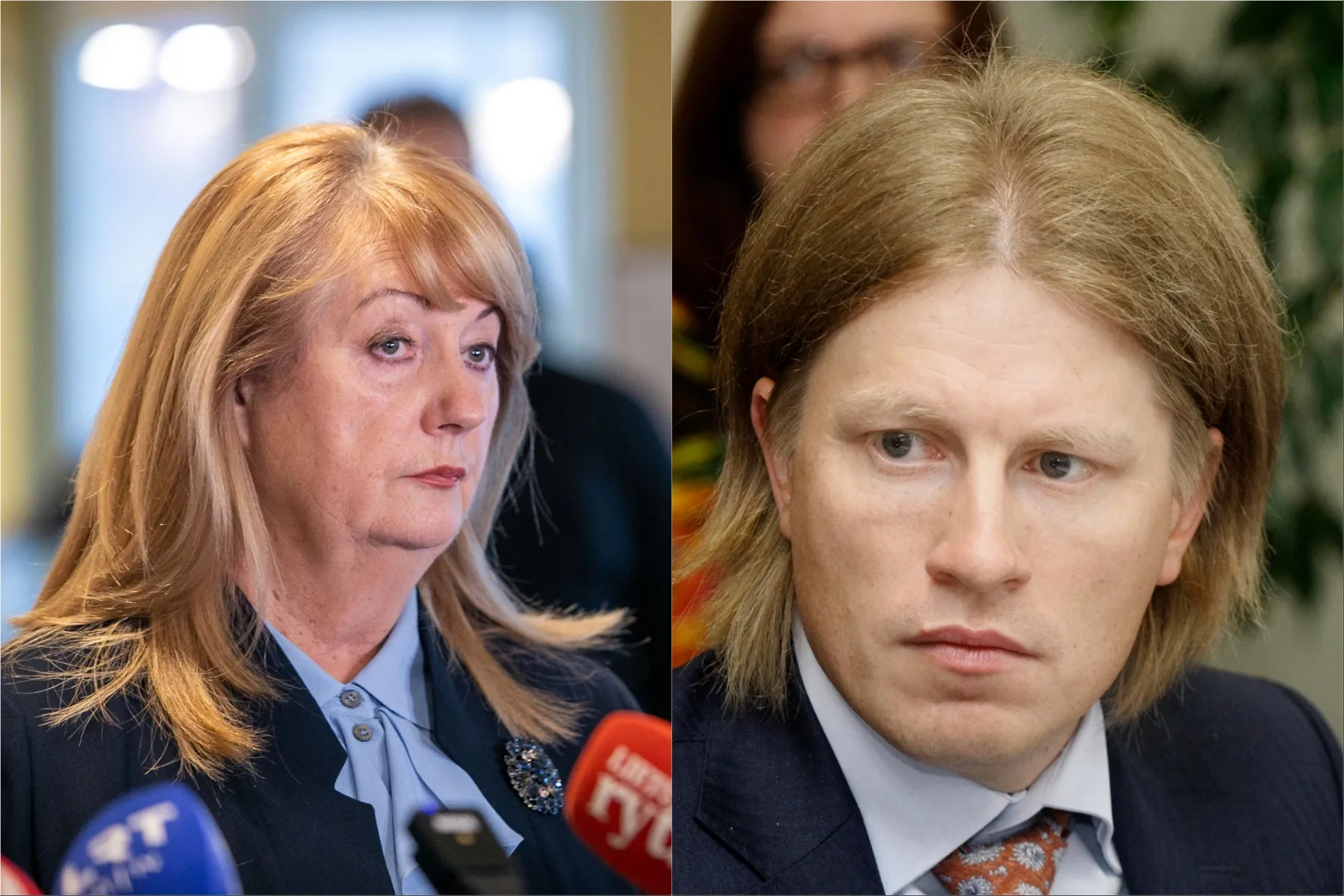 Tomas Bagdanskis, Vilija Blinkevičiūtė / O. Gurevičiaus / G. Savickio / ELTA nuotr.