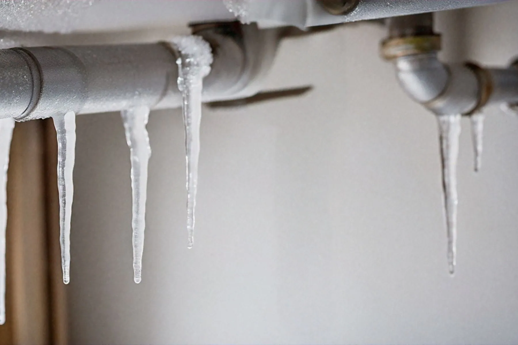 Šalčiai / Organizatorių nuotr.