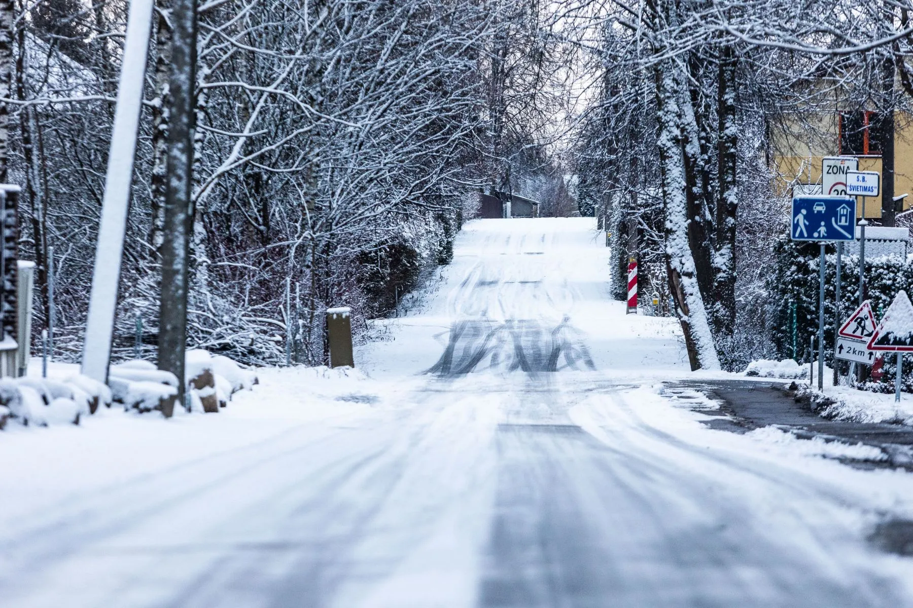 Sniegas / D. Labučio, ELTA nuotr.